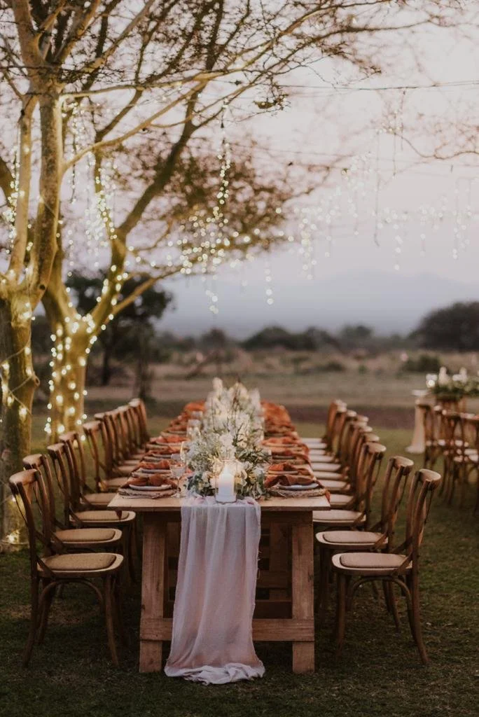 Long outdoor dining table set for a celebration beneath trees decorated with string lights, with a scenic landscape in the background during dusk.