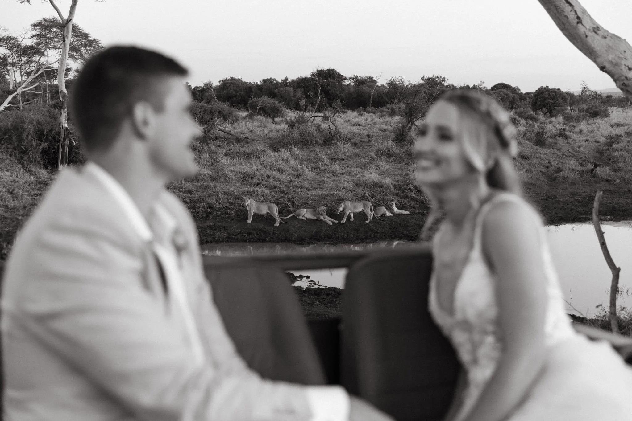 Black and white photo of a safari scene seen through a vehicle window, with two blurred people in the foreground and a pride of lions resting on the grass in the background.
