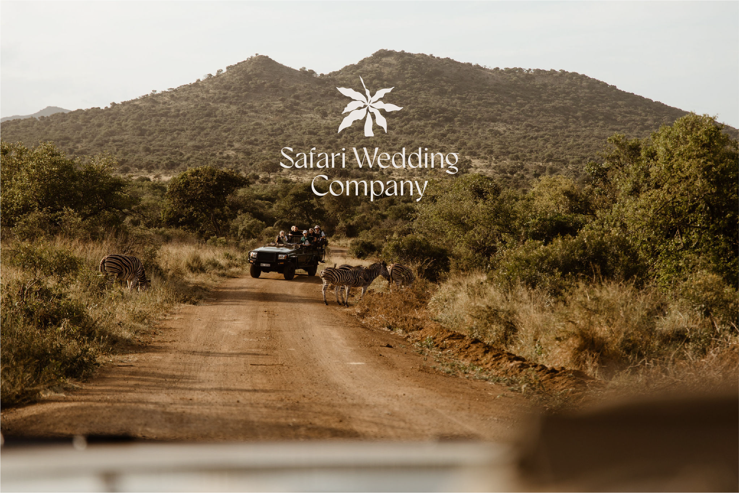 A safari vehicle with tourists observing zebras along a dirt road in a savanna, with mountains and trees in the background.