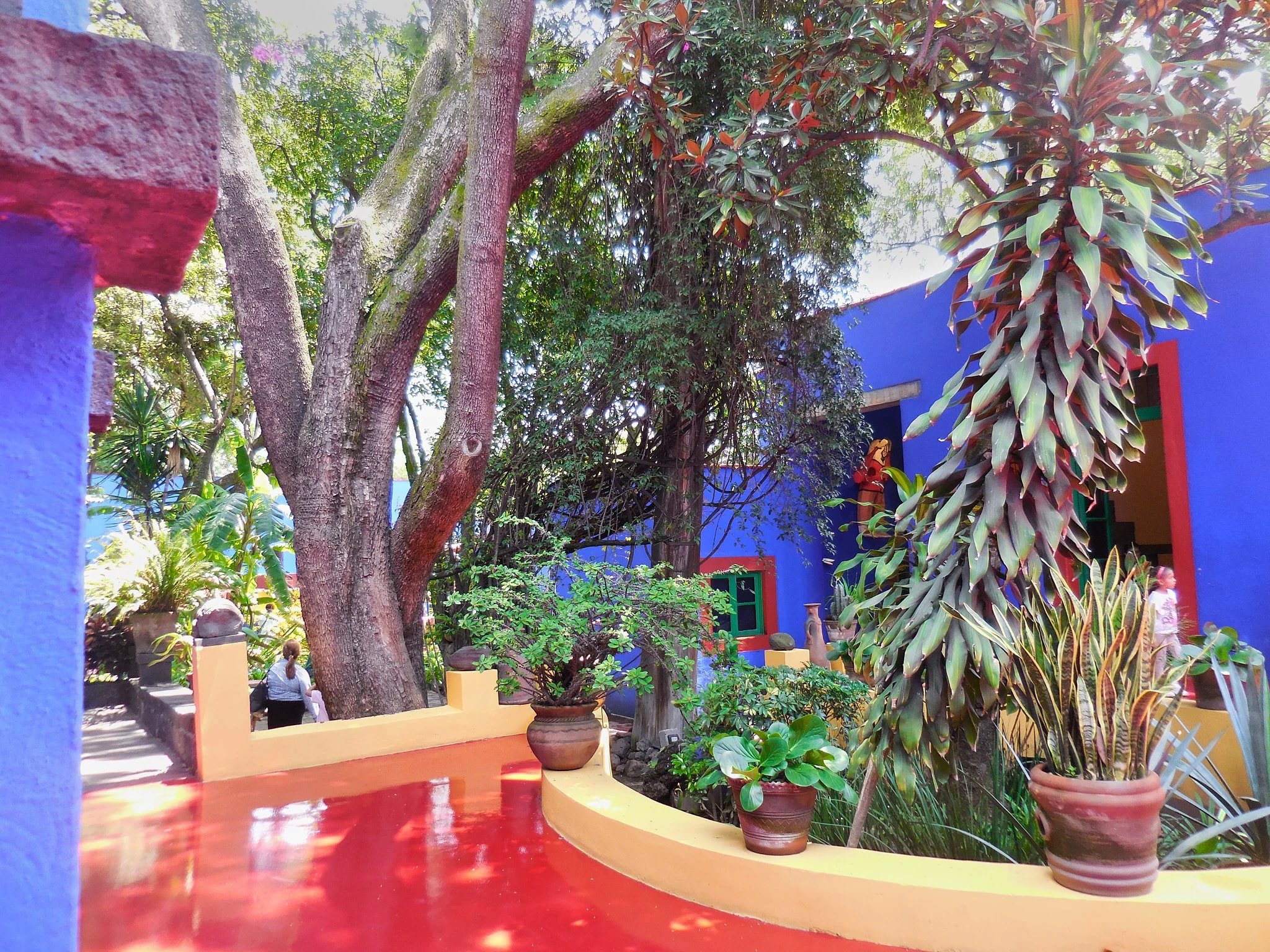 DSCN2537.jpg