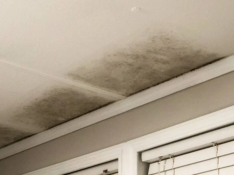 Ceiling with noticeable black mold stains near the corner and window blinds.