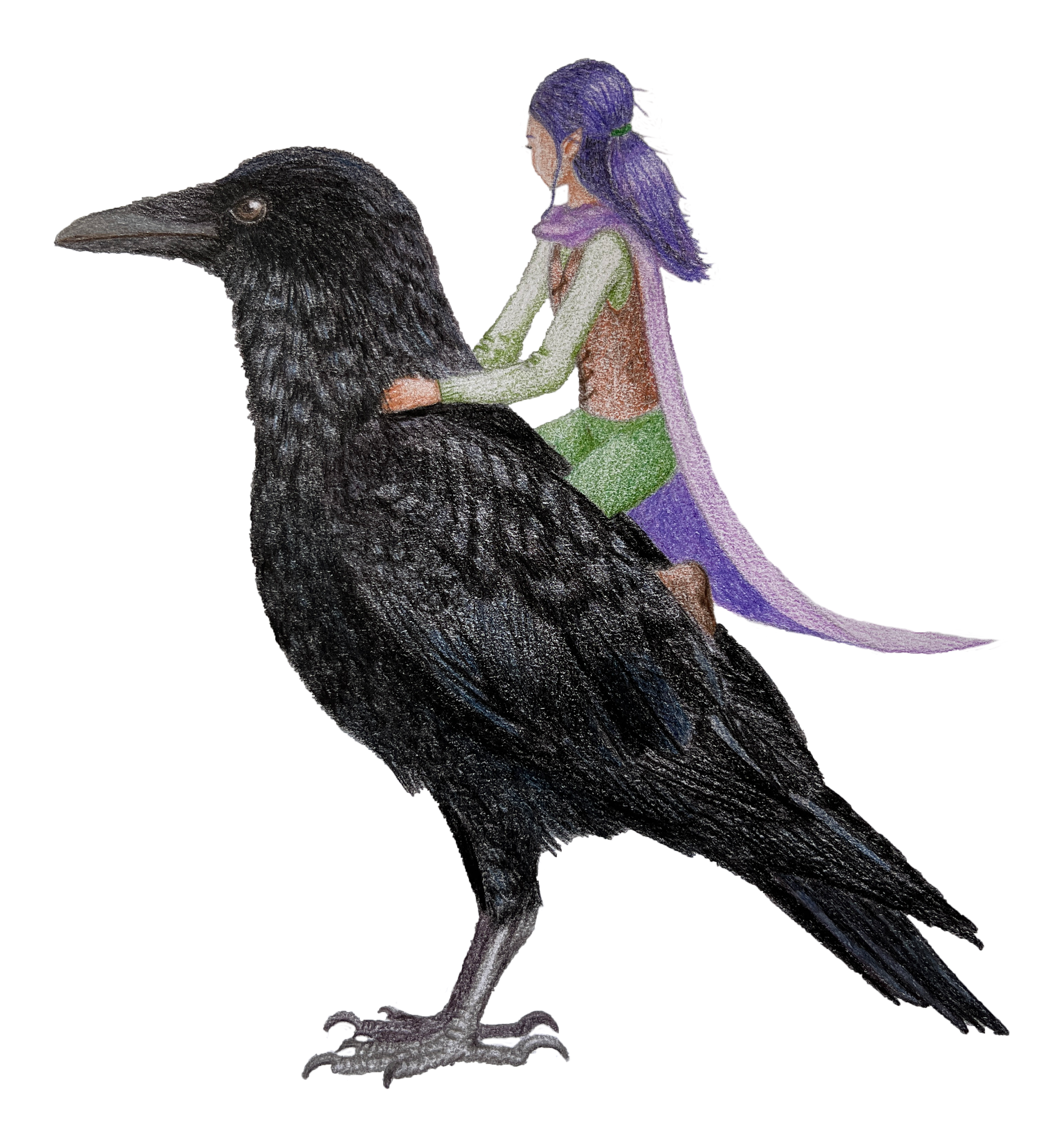A large black crow with yellow eyes and detailed feathers, standing on a gray background.