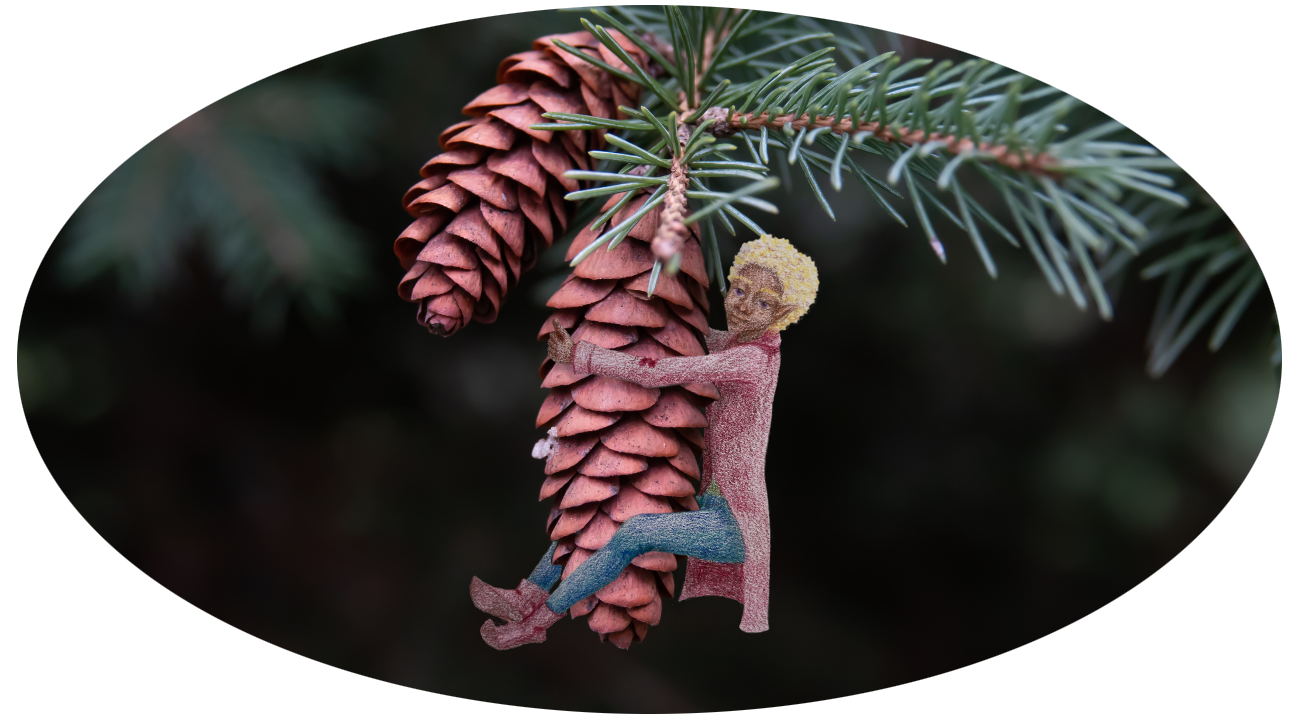 An elf boy climbing on a spruce cone hanging from a spruce tree branch with green needles.
