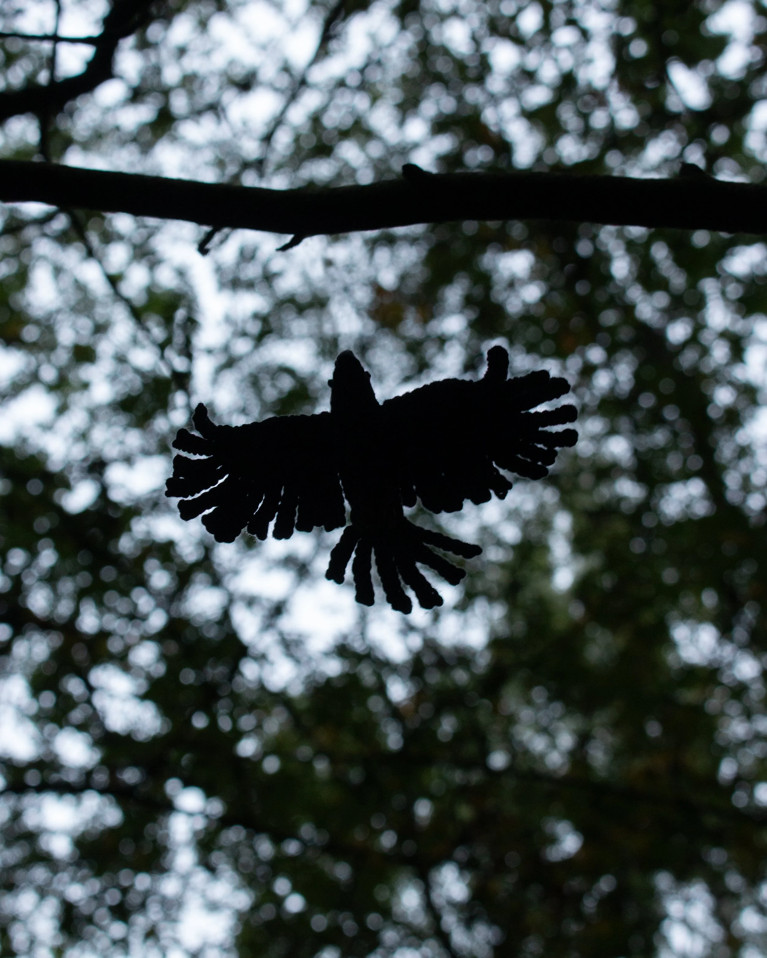 crow crochet pattern 3.jpg