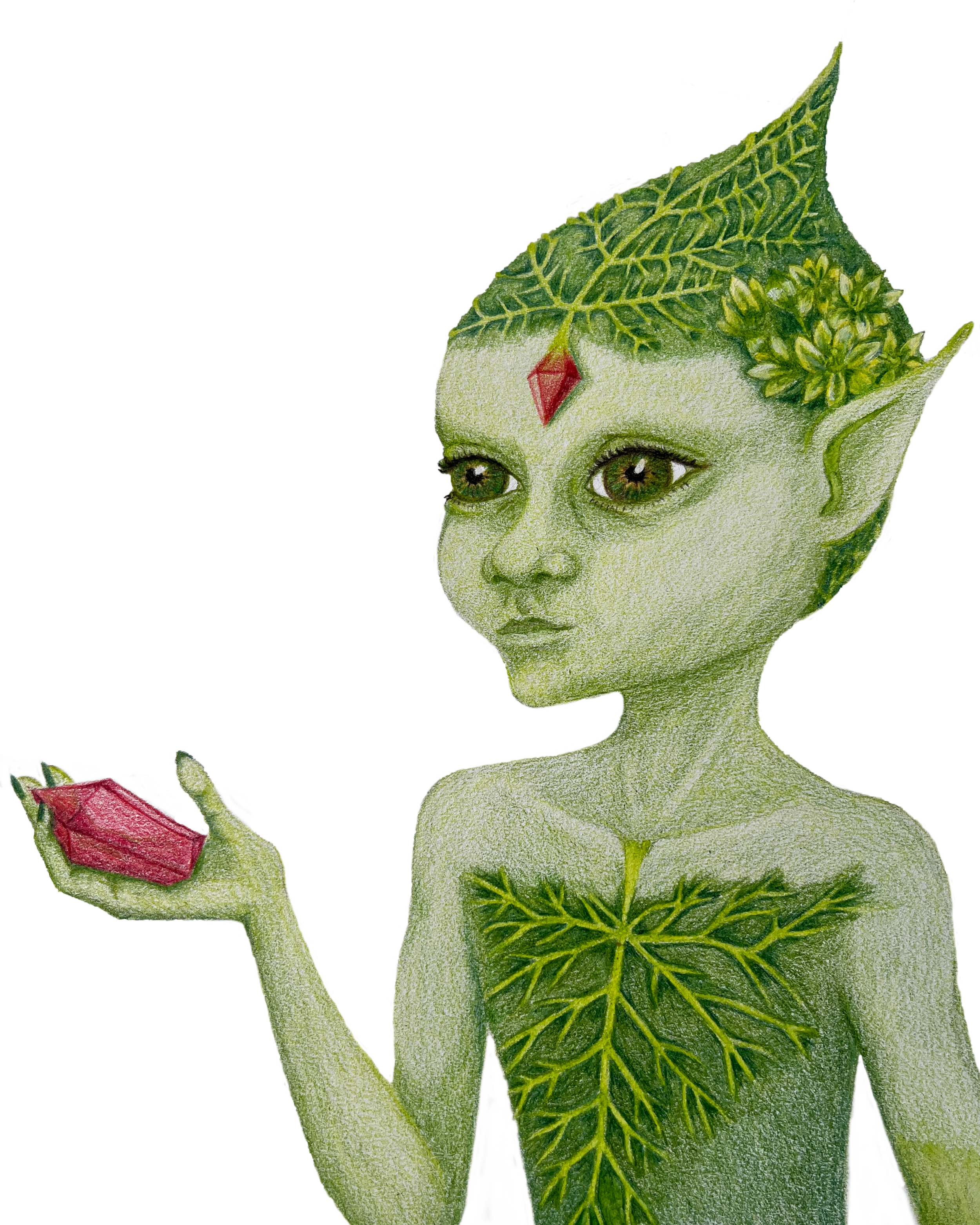 A fantasy illustration of a humanoid creature with green skin and leaf-like features, holding a red crystal in its hand, with detailed textured skin and plant-inspired hair and markings.