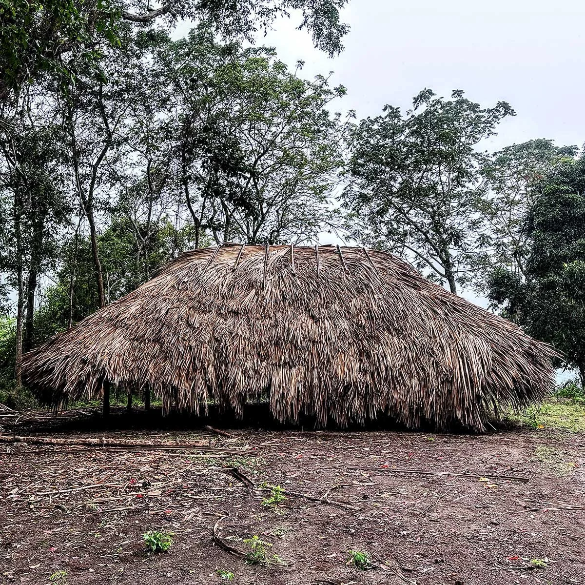 A thatched hut made of dried palm leaves in a natural setting with trees in the background and a dirt ground in the foreground.