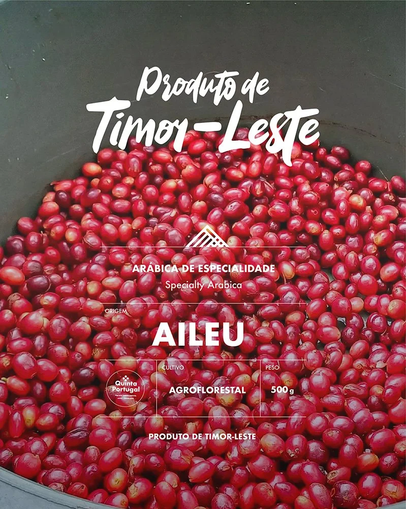 Close-up of a container filled with red coffee cherries. Text overlay includes references to Timor-Leste, specialty Arabica, and Timor-Leste origin.