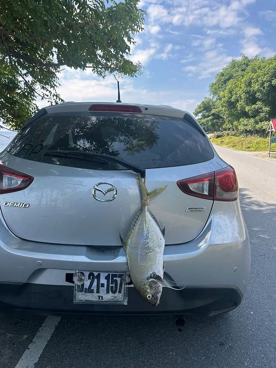 A silver Mazda Demio car parked on the side of a road with a large fish hanging from the rear windshield wiper.