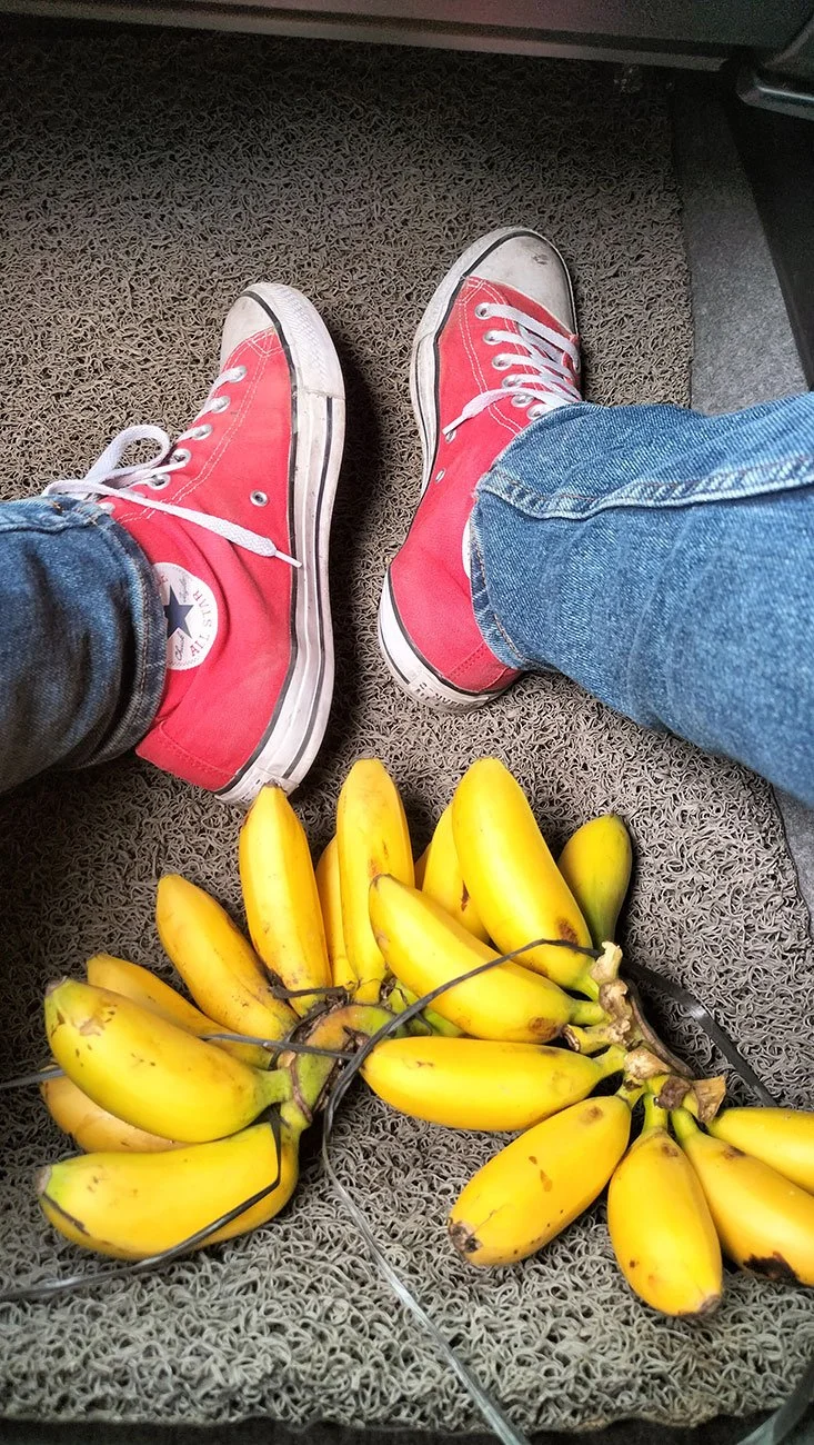 Person wearing red Converse sneakers and blue jeans sitting on a textured brown car mat with a bunch of yellow bananas on the floor.