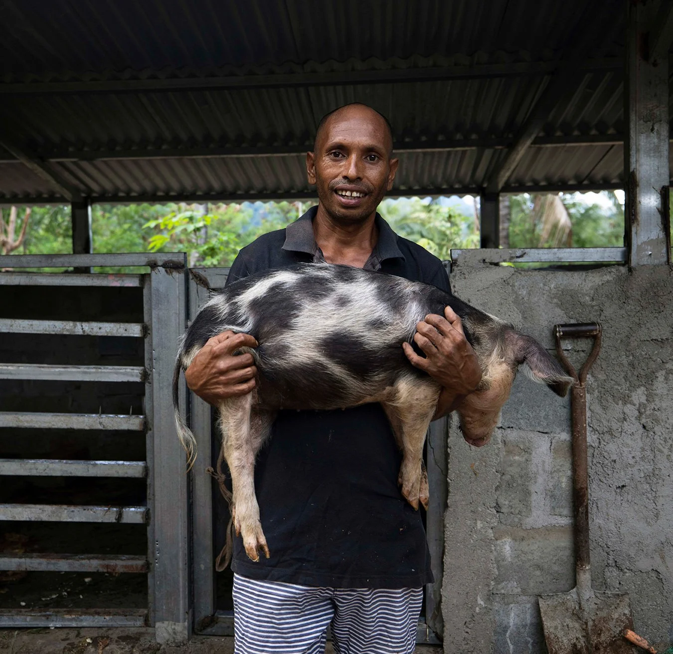 A man holding a piglet in a farm setting with a metal shed and green trees in the background.