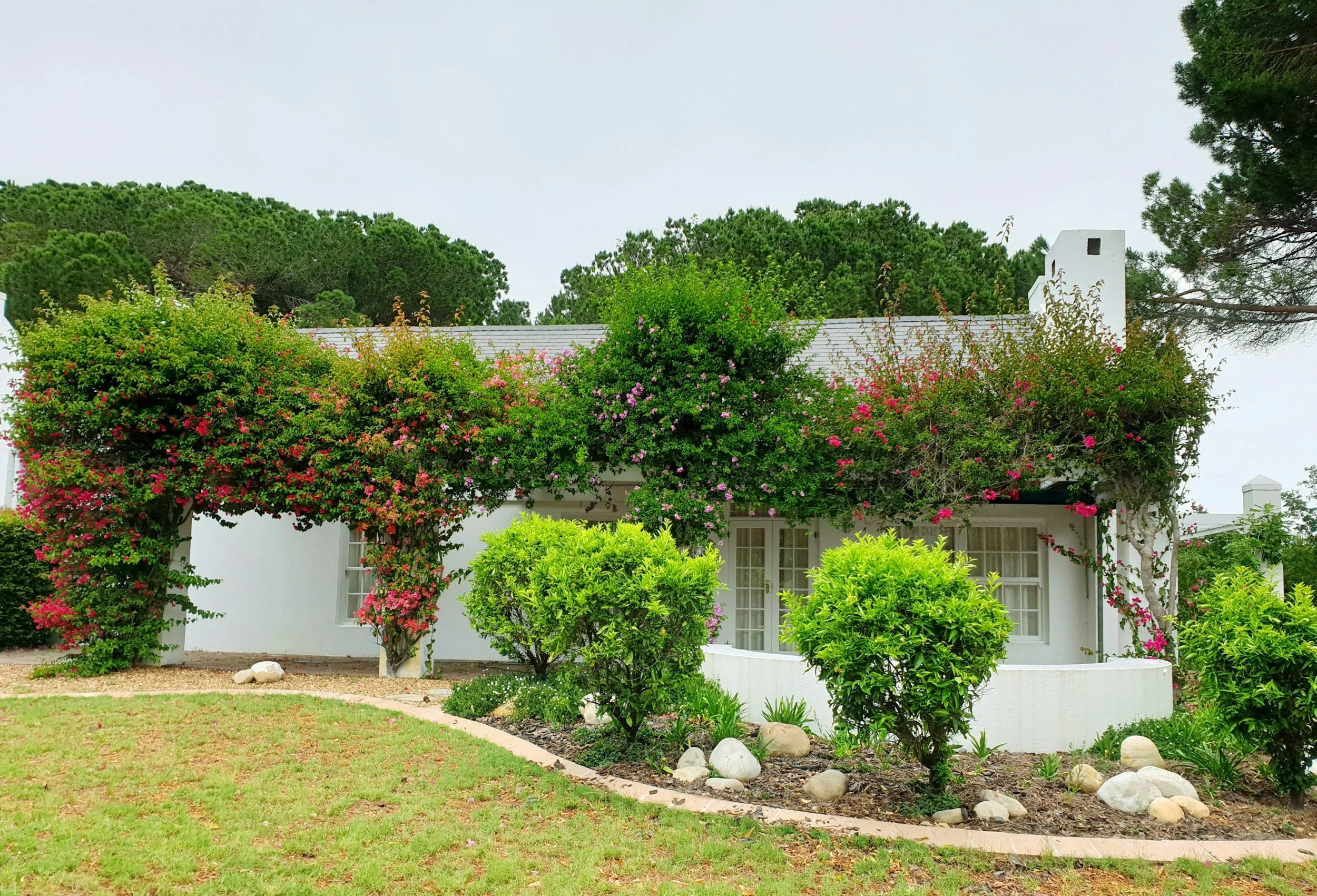 A white house with a peaked roof, partially covered by lush green trees and flowering bushes in the front yard, under an overcast sky.