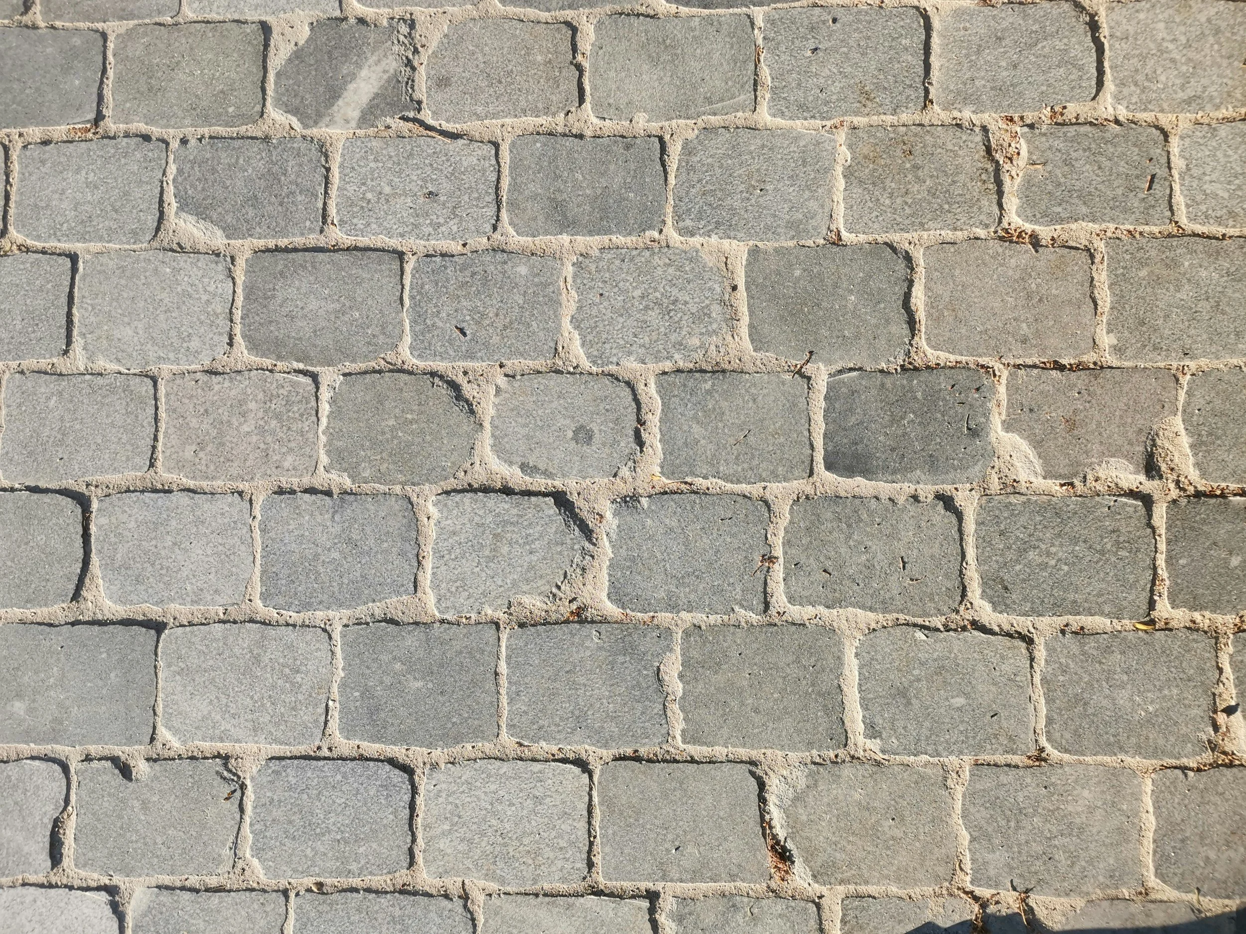 A close-up of a cobblestone pavement with rectangular stones and visible grout lines.