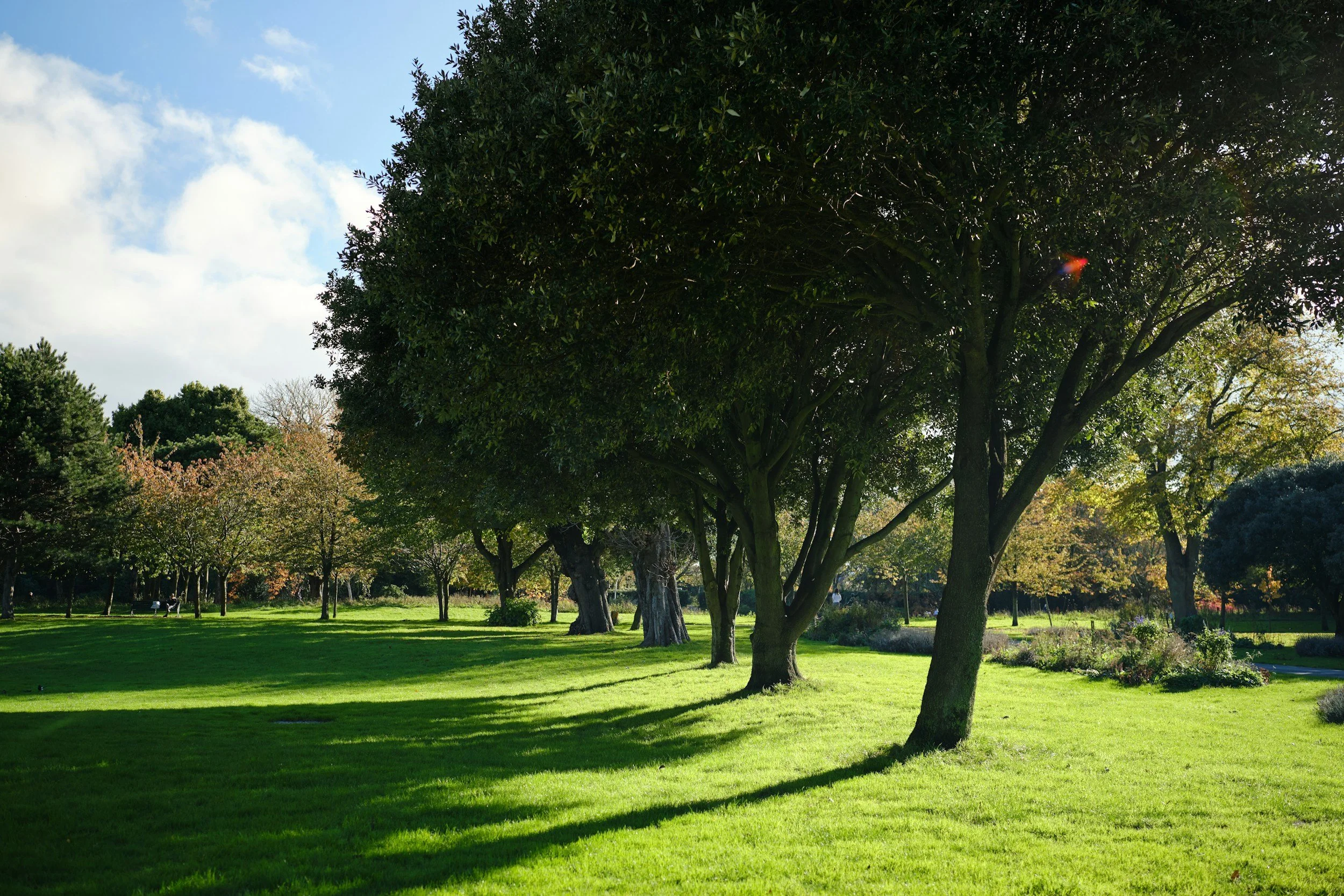 A park with lush green grass, several trees with some sunlight filtering through the leaves, and a partly cloudy sky.
