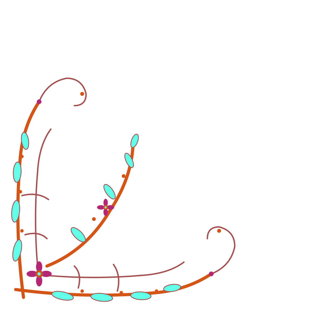 Diagram of a biological cell, showing various organelles and structures including the nucleus, mitochondria, endoplasmic reticulum, Golgi apparatus, and cell membrane.