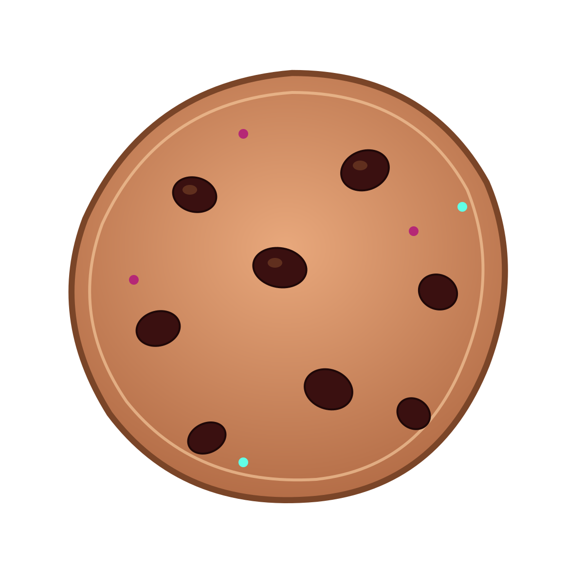 Top view of a chocolate chip cookie with scattered dark chocolate chips and a few colorful sprinkles.