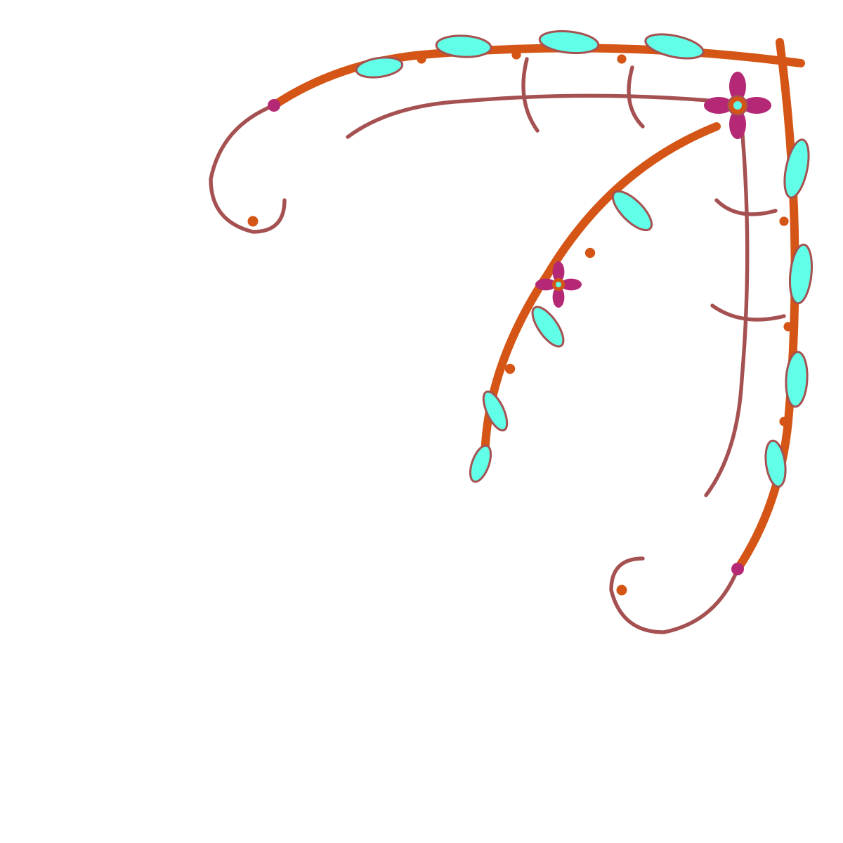 Diagram of a plant's seed and flower development, showing stages from seed germination to flowering, with labeled parts such as seed, developing plant, flower, pollen, and seed dispersal mechanisms.