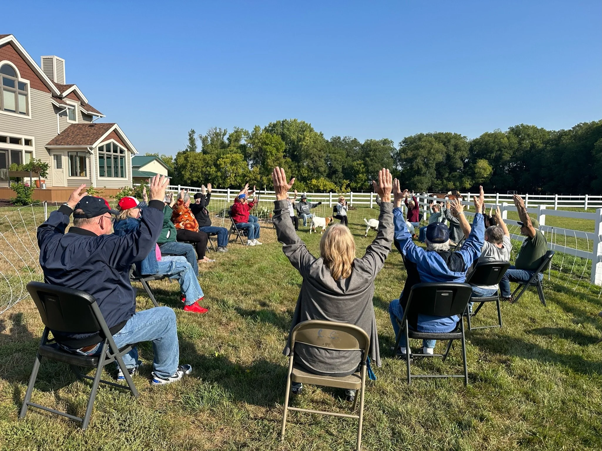 A group of people seated outdoors on chairs, raising their hands, with some goats walking among them, in front of a large house with a fenced yard and lush green trees on a sunny day.