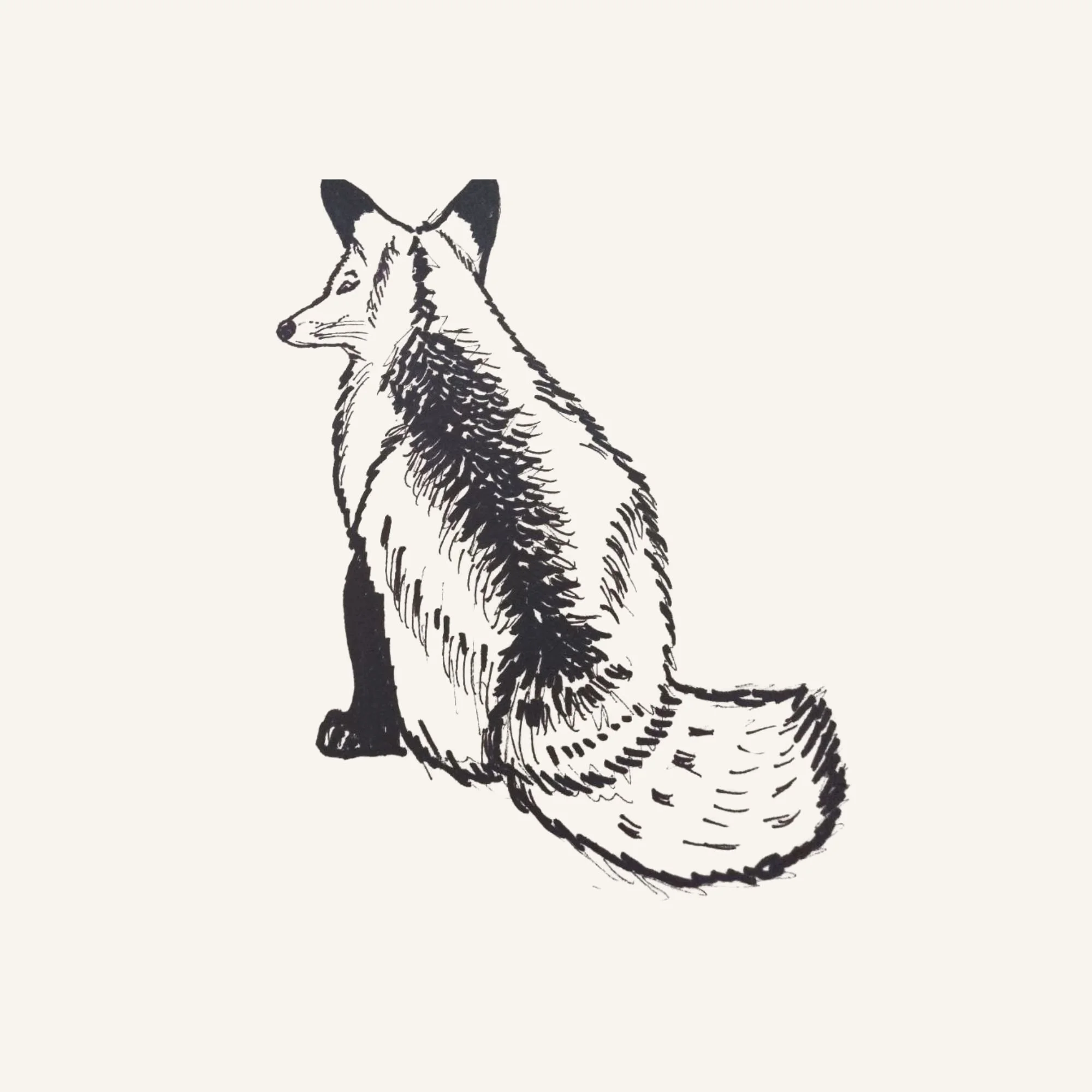 The Fox: A Mirror of Adaptability