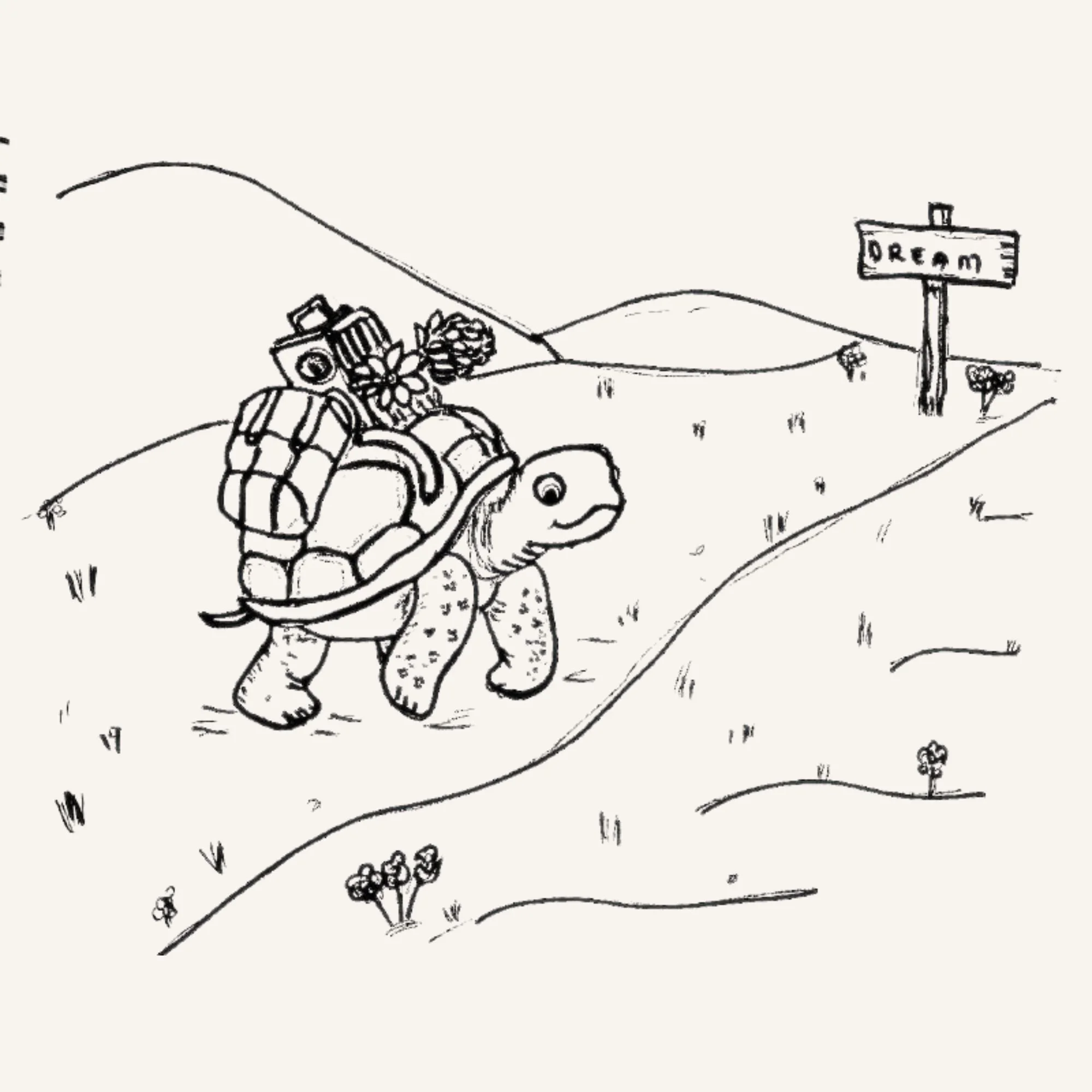 Hand-drawn turtle illustration representing patience, perseverance, and resilience in Animal Mirror Wisdom.