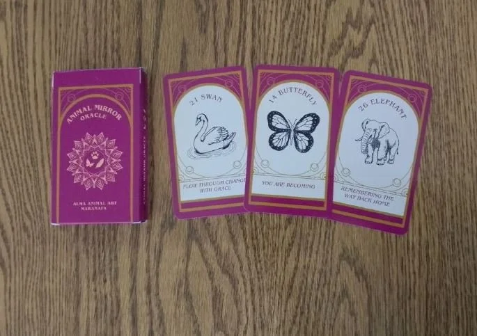 Animal Mirror Oracle hand-drawn animal deck box and sample cards