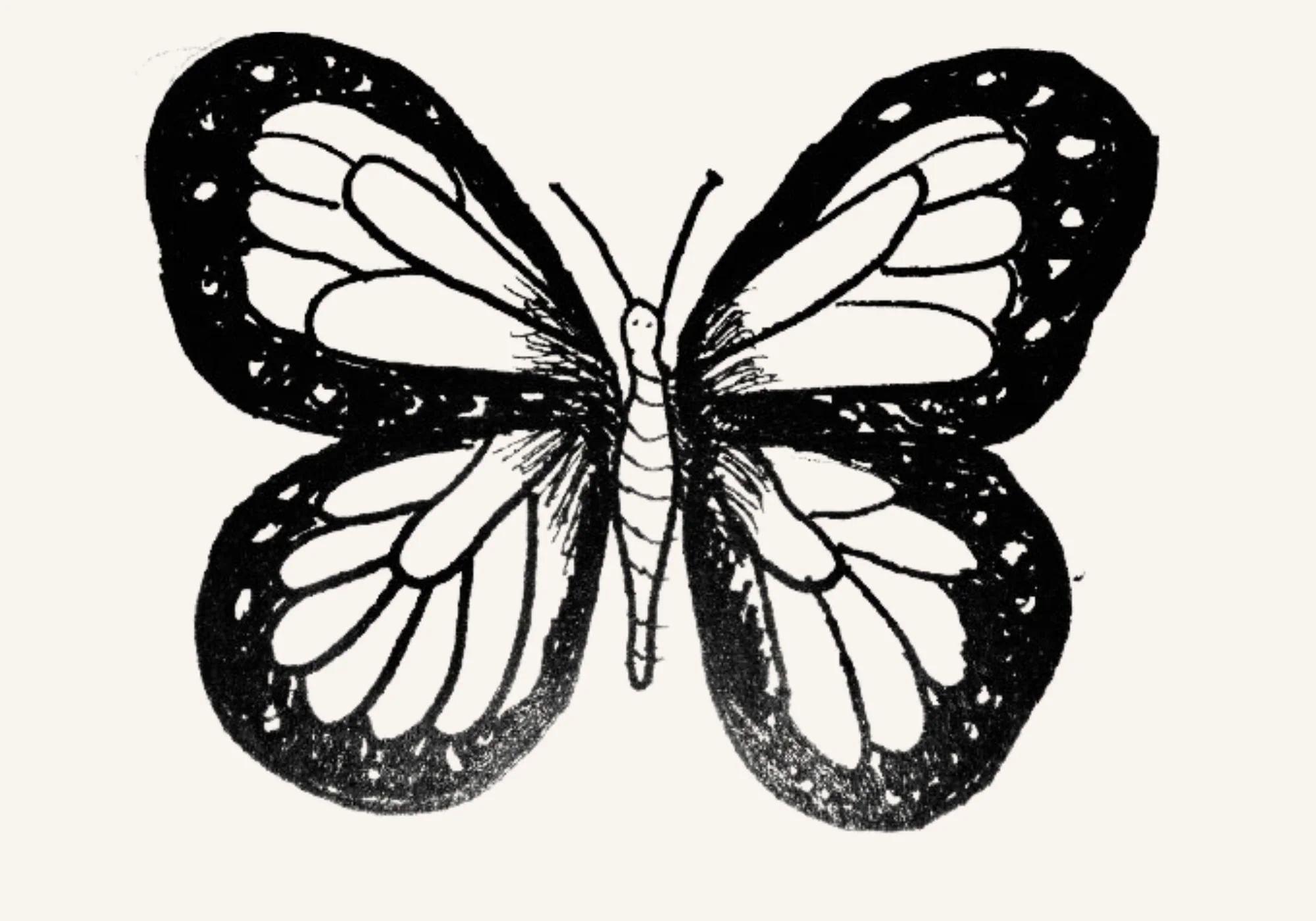 Black and white hand-drawn butterfly illustration with open wings.