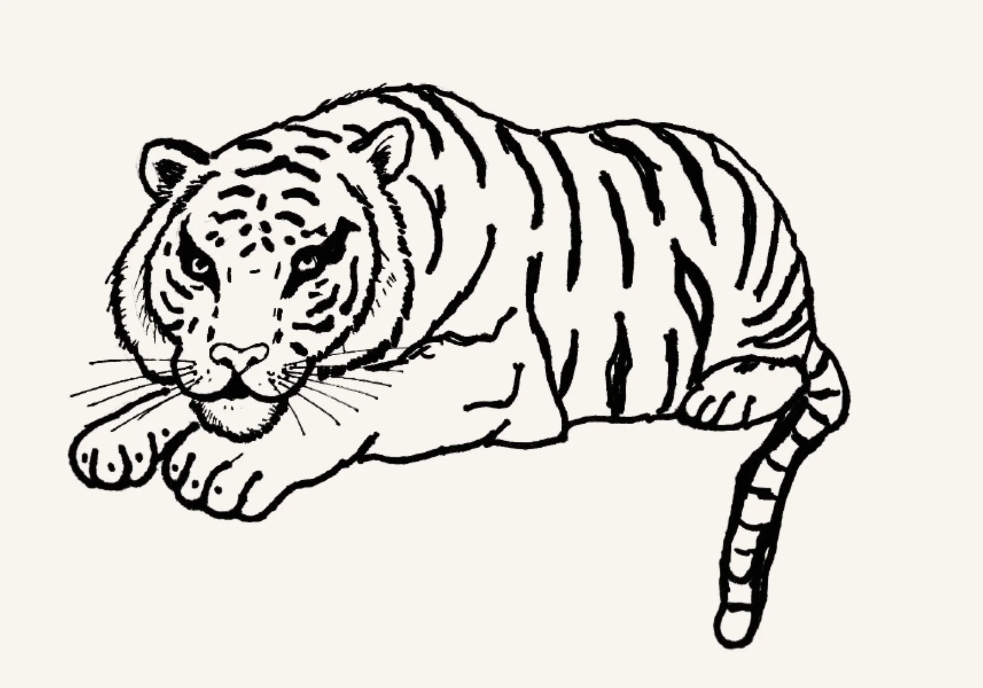 Black and white hand-drawn illustration of a resting tiger