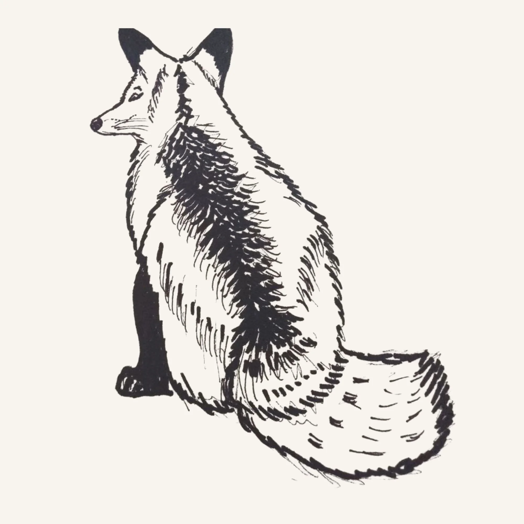 Hand-drawn fox illustration representing adaptability, intelligence, and resilience in Animal Mirror Wisdom.