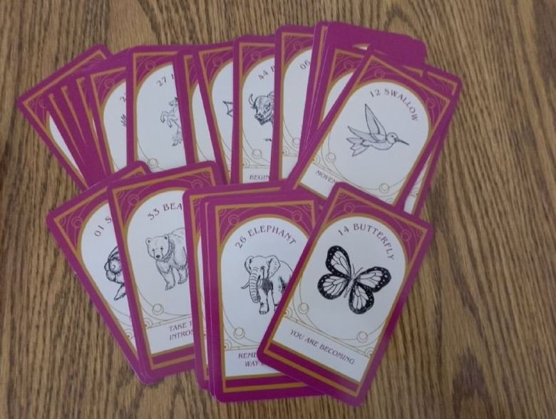 Animal MIrror Oracle deck funnel cards