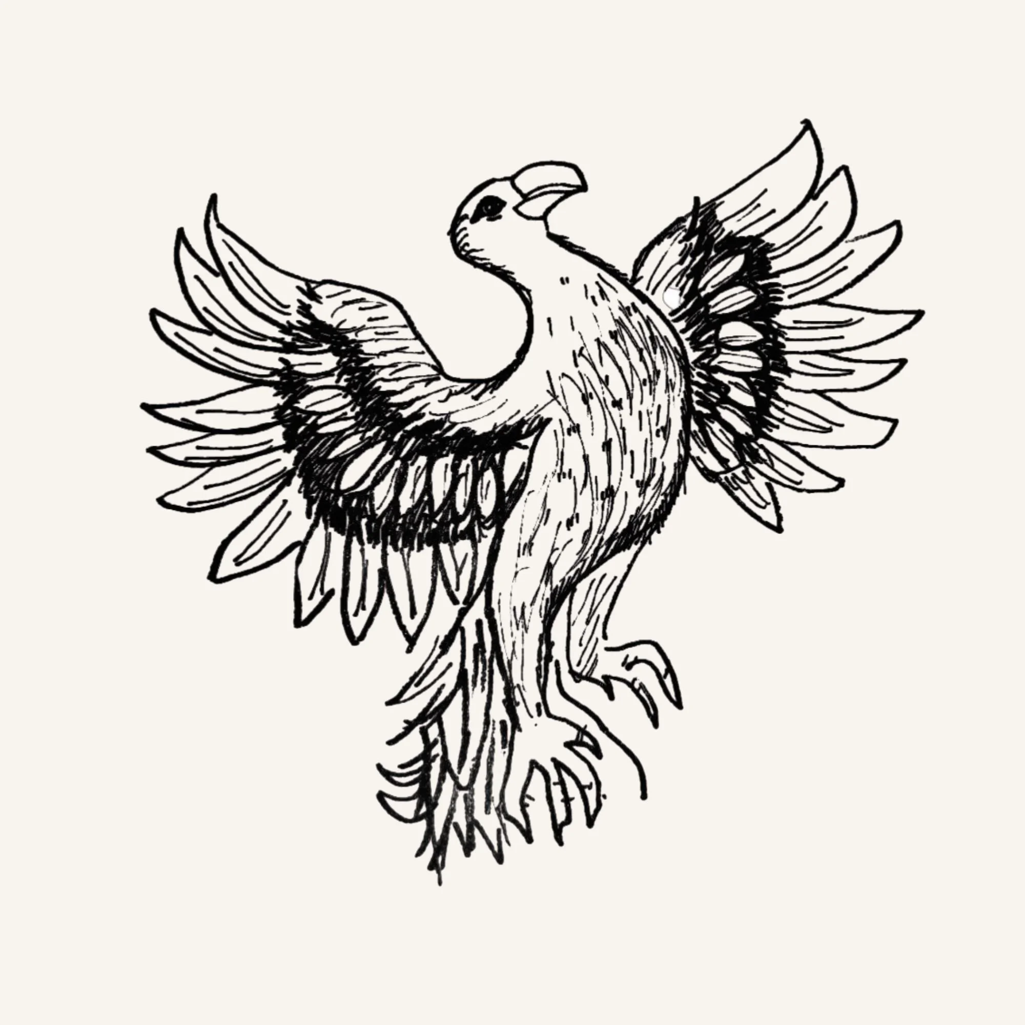 Hand-drawn black and white illustration of a phoenix