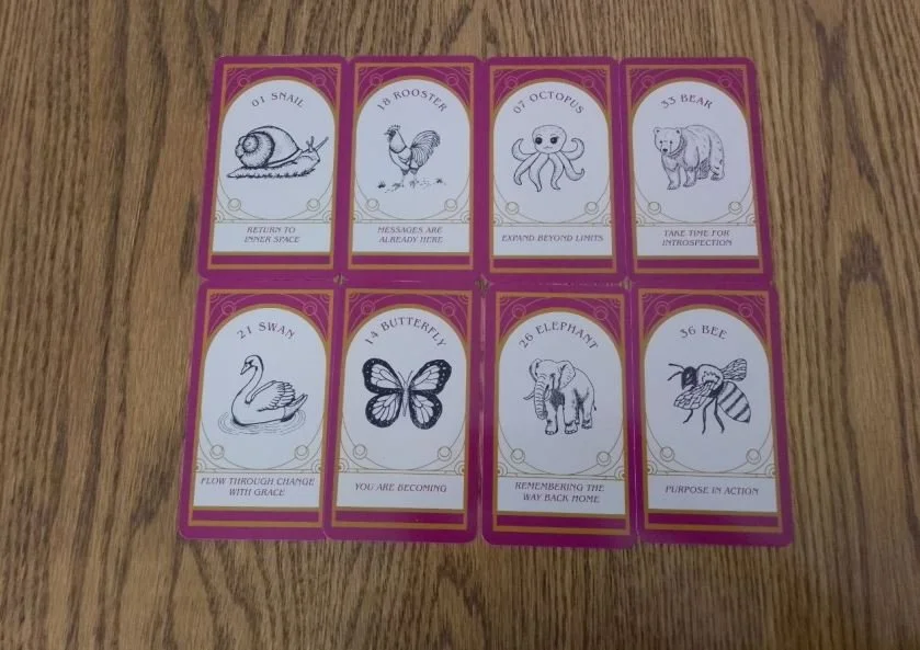 Animal Mirror Oracle featured cards