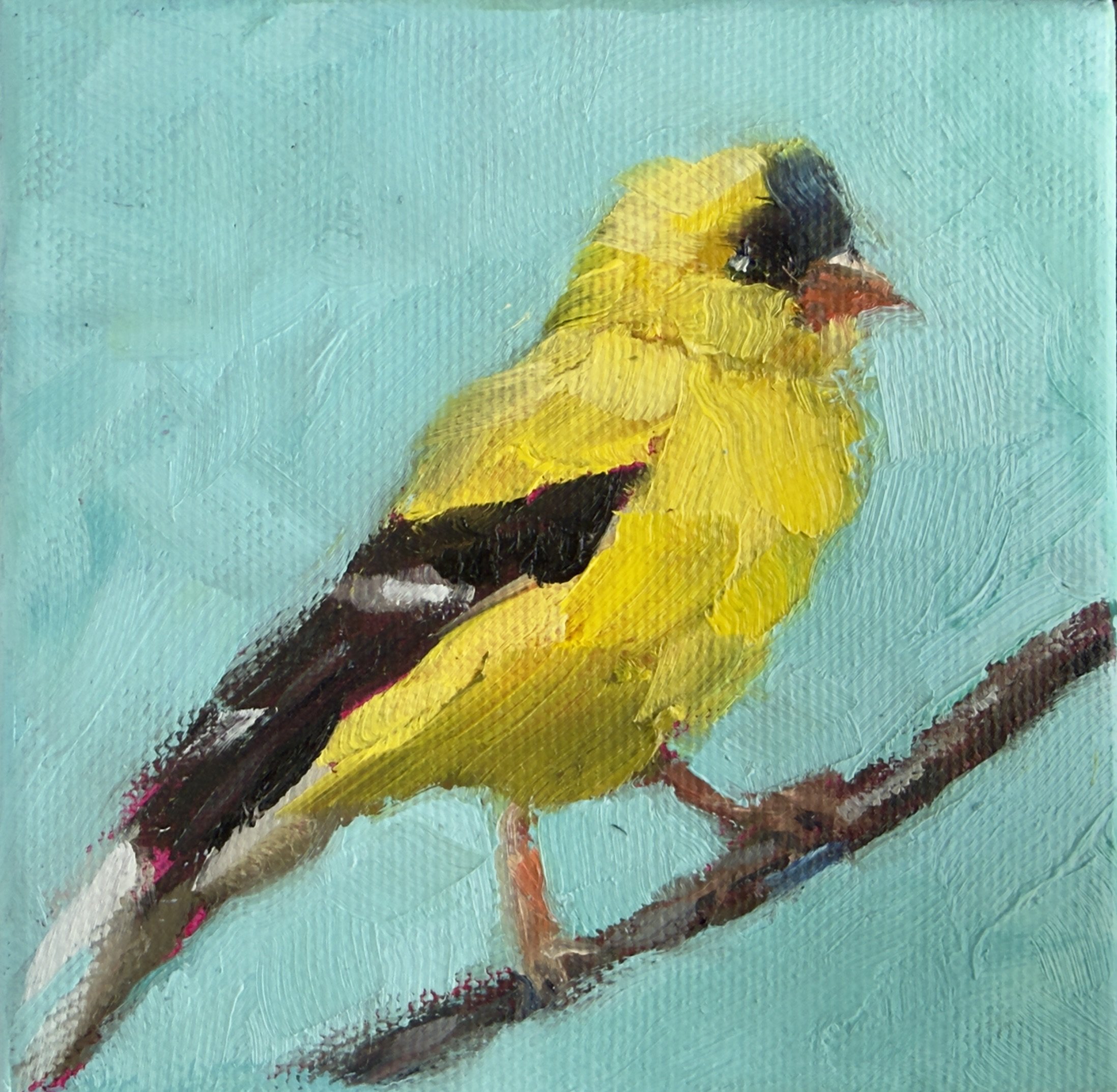 Goldfinch