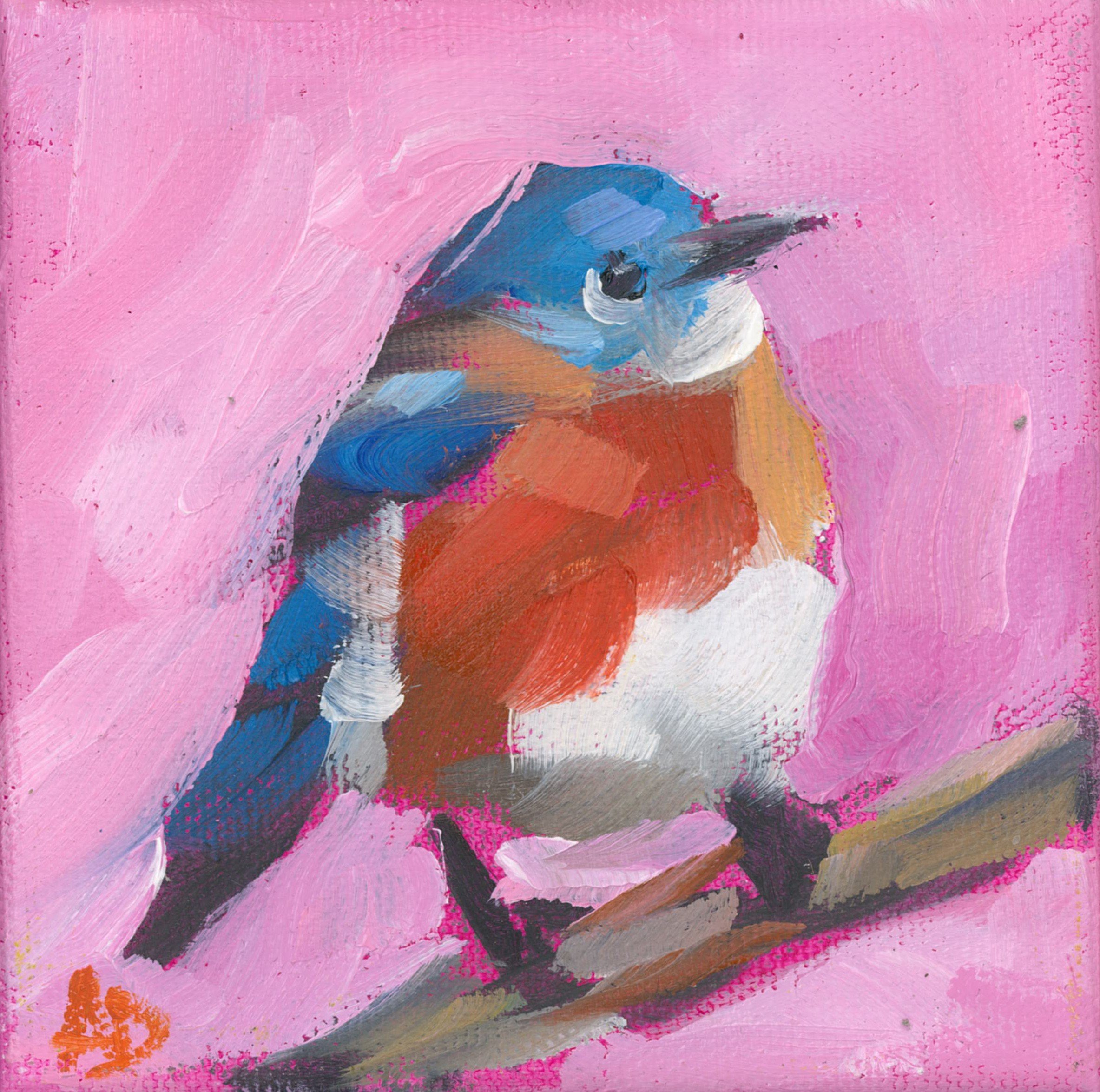 Bluebird on Pink