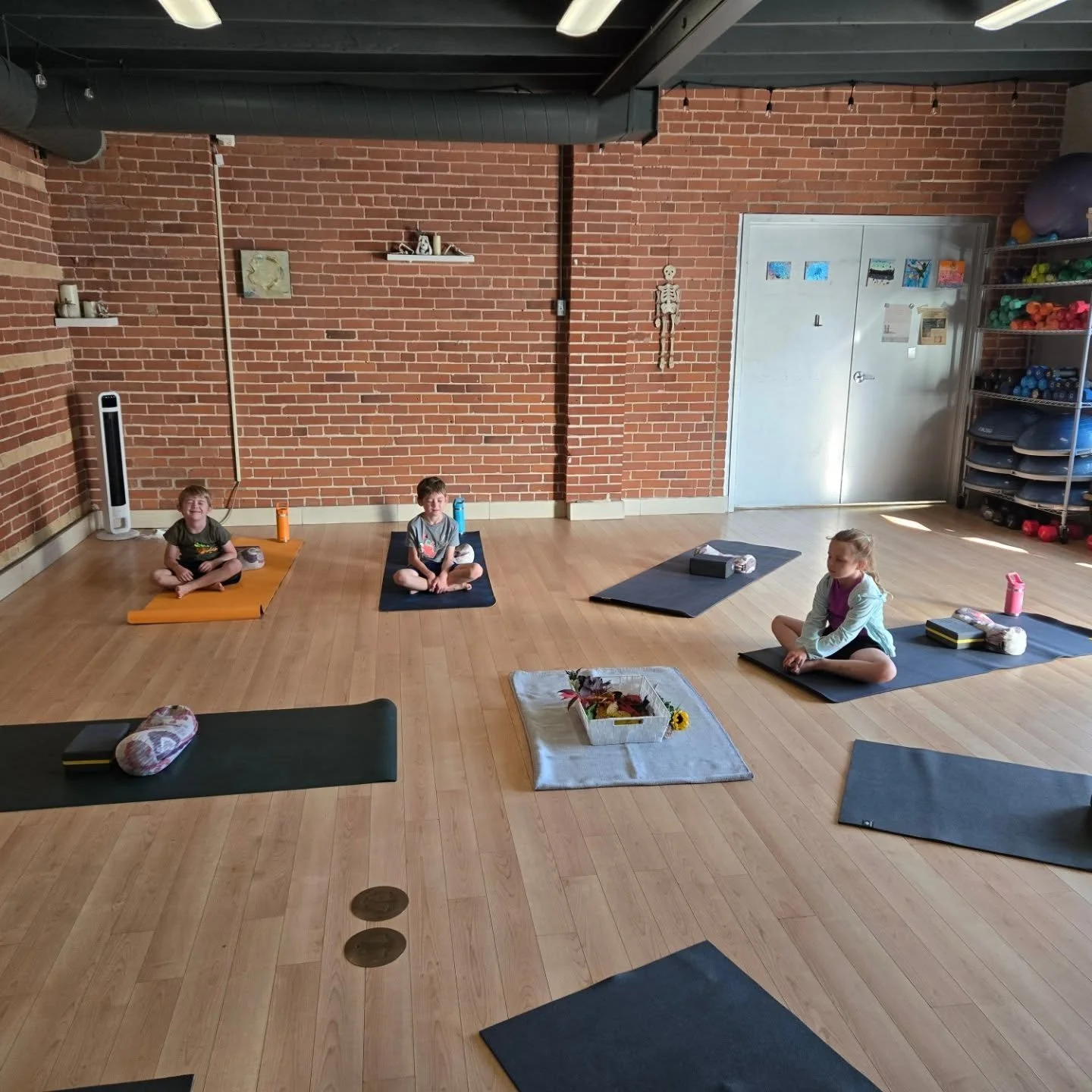 Enjoying a meditation while we wait for the rest of our mini yogis to arrive on Sunday for the yoga and nature workshop.

The next workshop will be Sunday, November 9th, 9:30am - 10:30am, Yoga and Crystals.

Ages 5-10 years old
$22/child (tax include