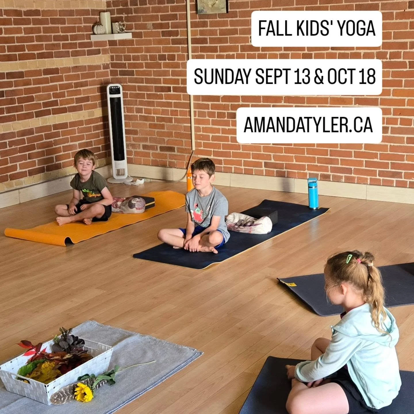 FALL KIDS' YOGA CLASSES

- hatha yoga practice
- focused breathwork
- mindfulness meditations

Sunday, September 13th
&amp;/or
Sunday, October 18th

9:30am-10:30am 
Ages 5-12
@ The Root Studio, 10 Herriott St, Perth
$22/class

Sign up at amandatyler.