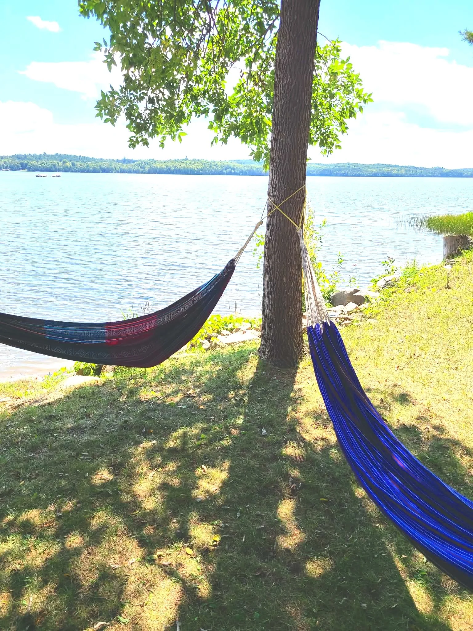 Two hammocks, one red and black and the other blue, are tied between a tree and another support at a lakeside on a sunny day. The lake water is calm with distant boats, and the background includes a forested shoreline.