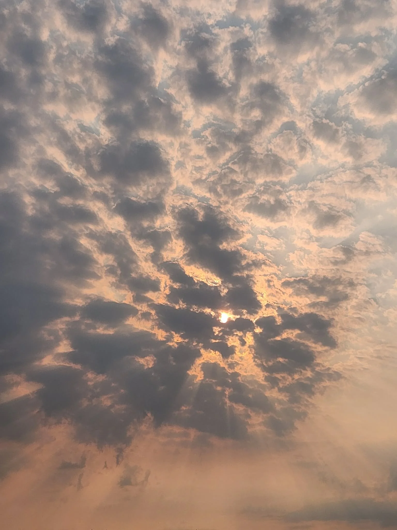 Sky with dense scattered clouds during sunset or sunrise.