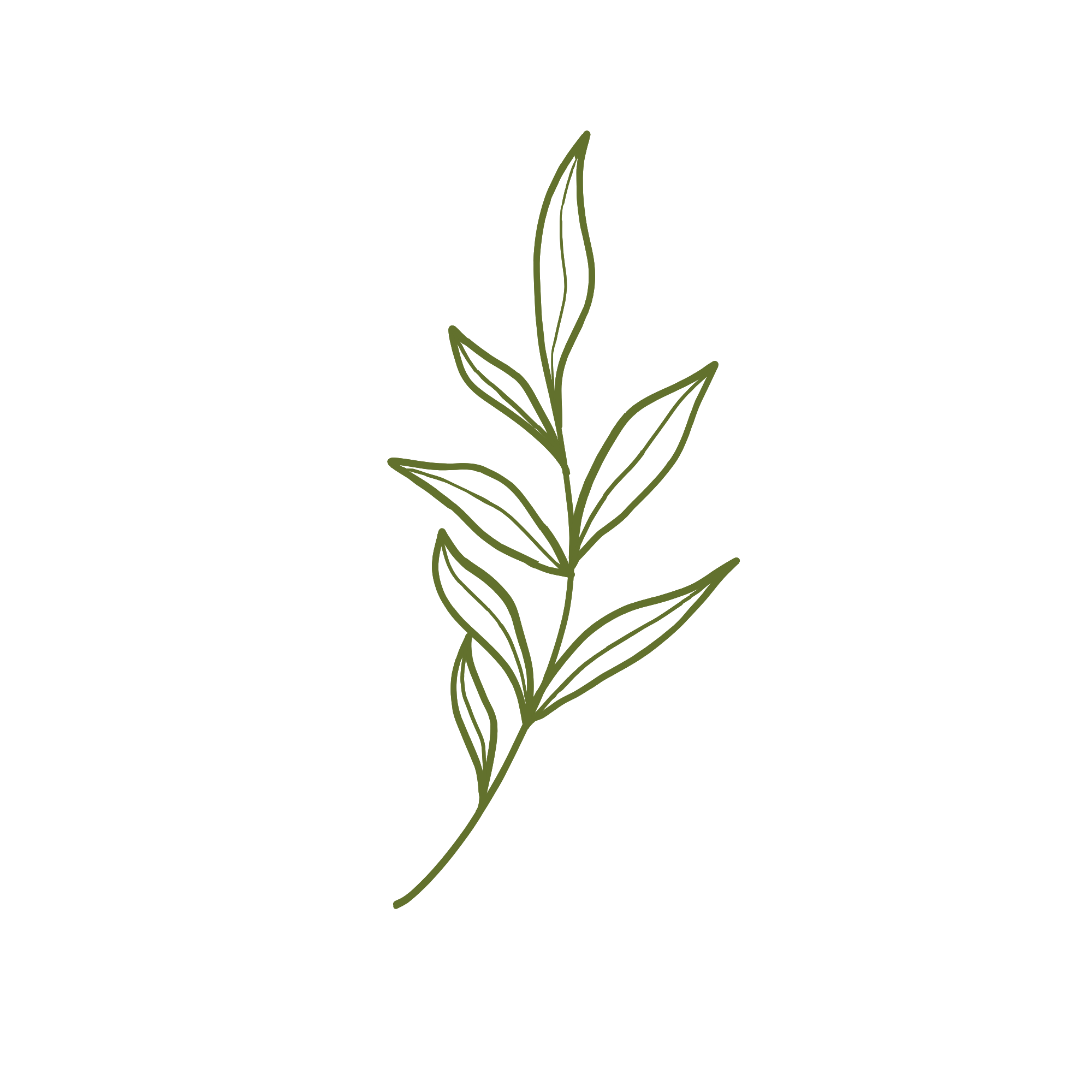 Minimalist drawing of a plant with linear green leaves on a black background.