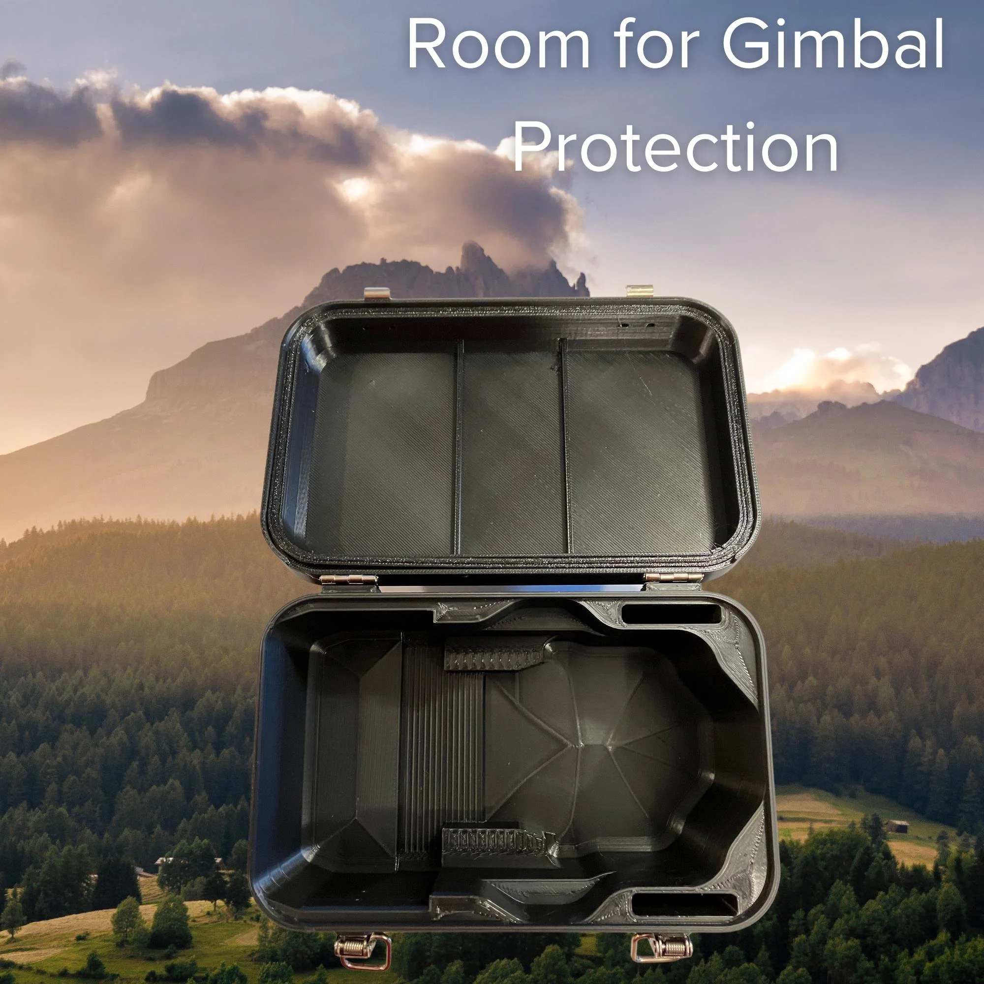 Empty DJI Mini 4 Pro hard case showing the molded interior with room for the gimbal protector