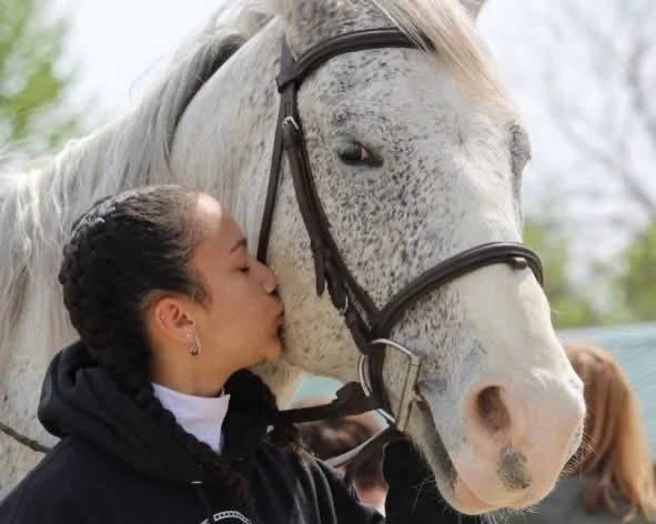Girl kissing white horse outdoors