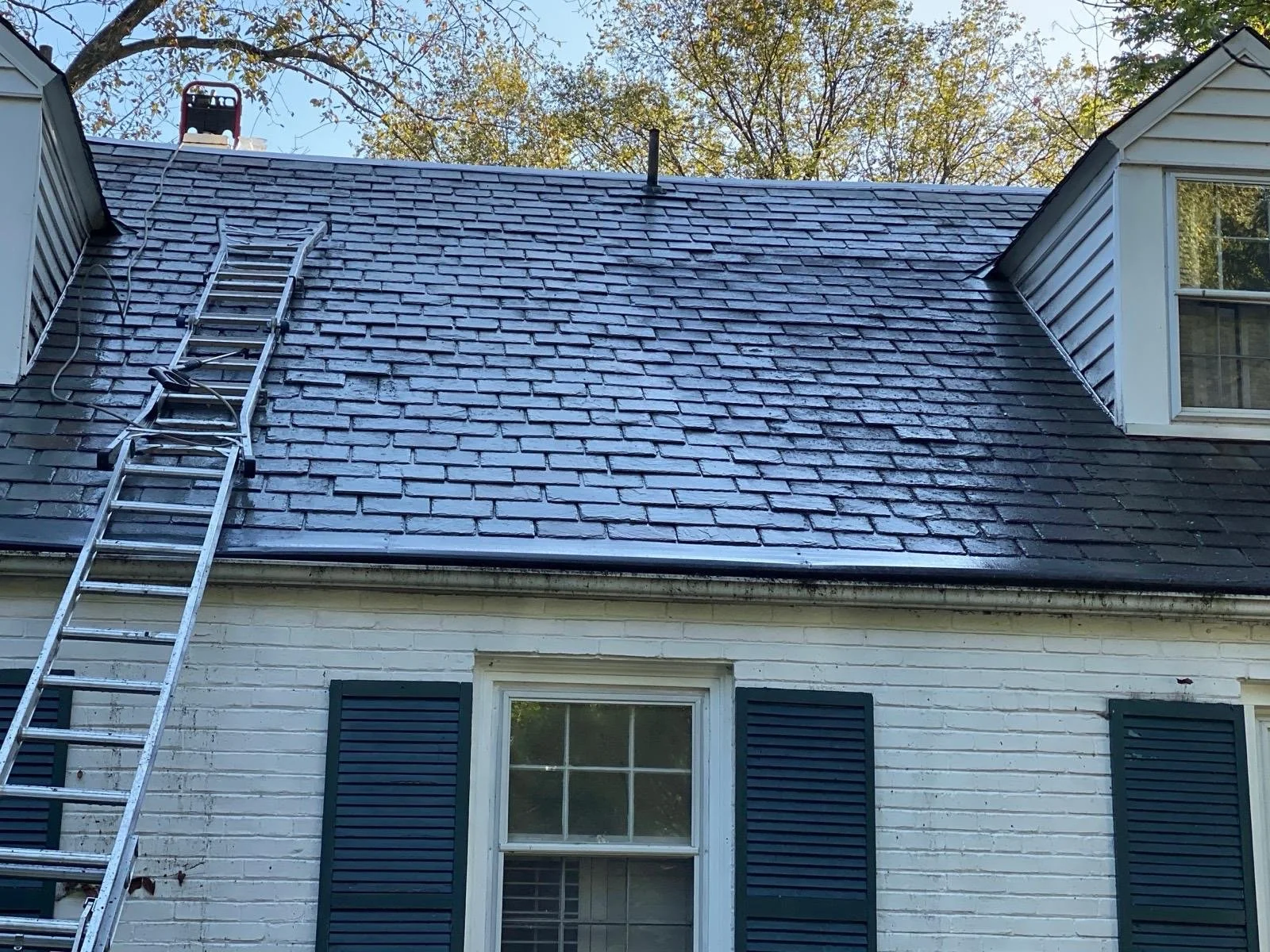 House with blue shingled roof, ladder leaning against the roof, and a window with open black shutters.