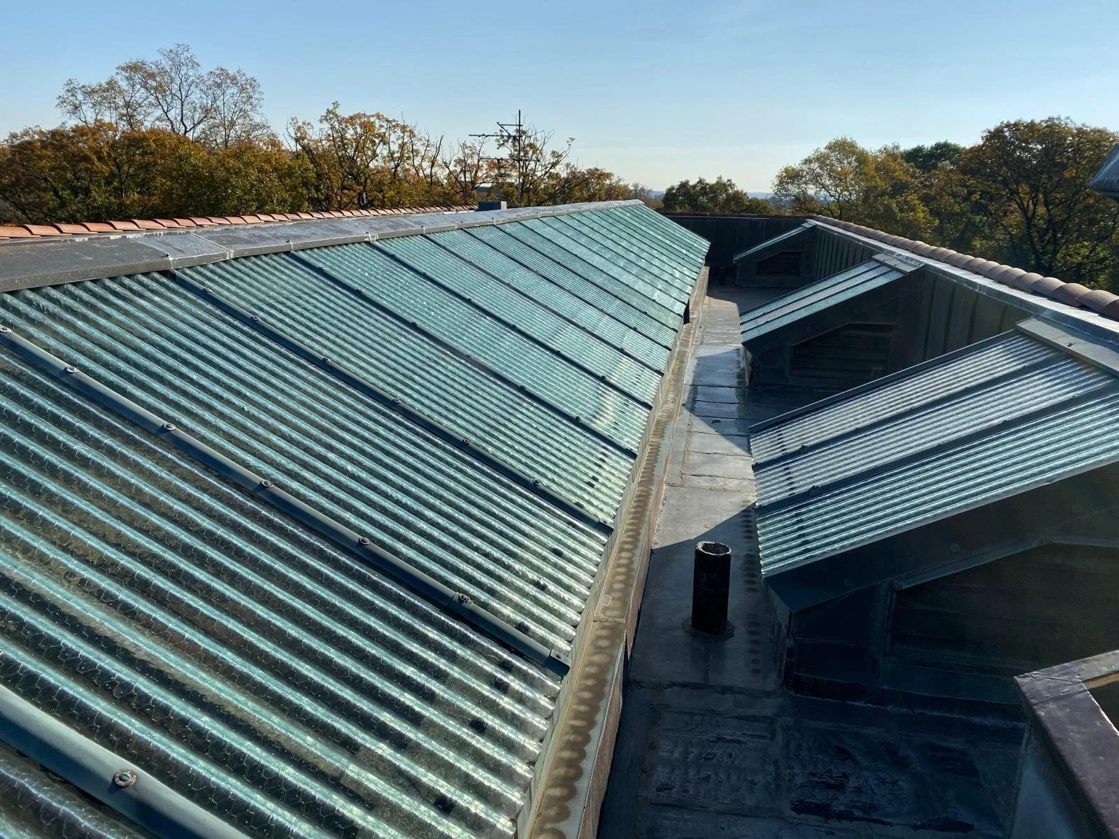 View of multiple sloped, green-tinted glass or plastic roofing panels on a building, with trees and a clear sky in the background.