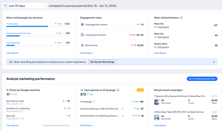 Screenshot of website analytics dashboard showing visitor data, engagement stats, popular pages, marketing performance, and recent email campaigns.