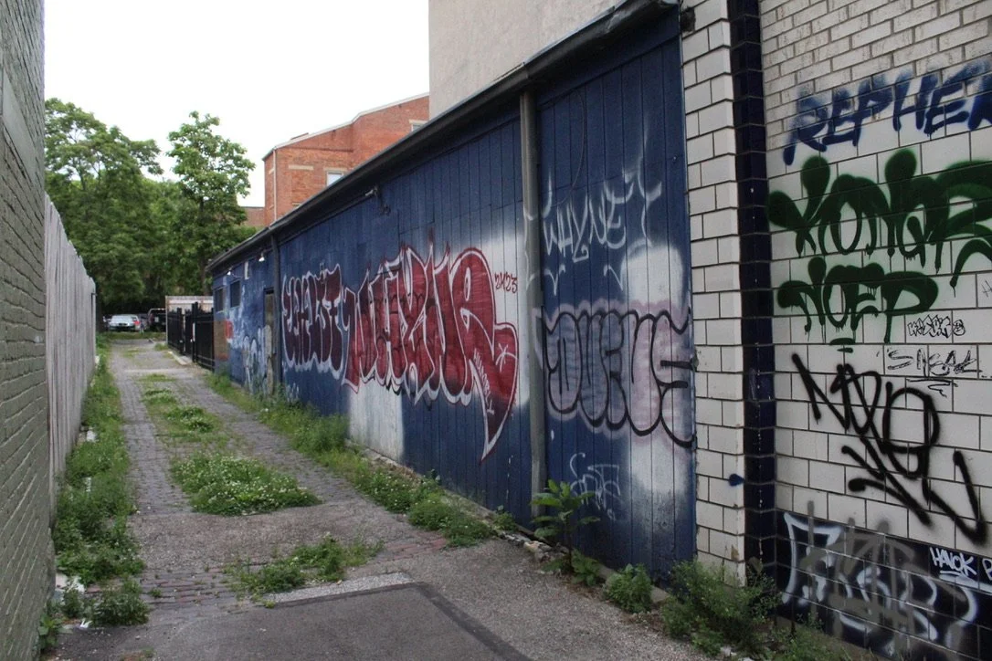 Graffiti on a blue garage door and a white brick wall in an alleyway with greenery.