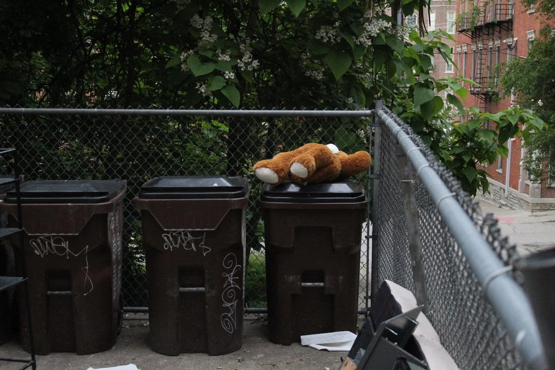 A teddy bear is lying on top of a trash bin in an alley with garbage cans, graffiti, and a chain-link fence, with trees and apartment buildings in the background.