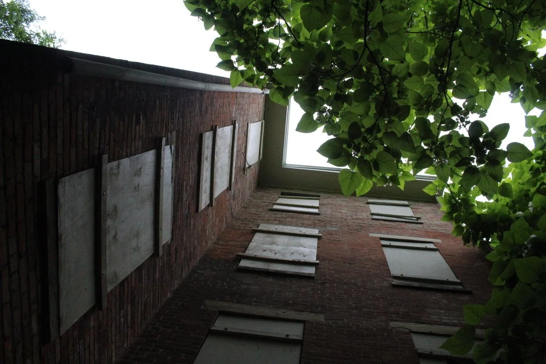 View of the inside of a brick building looking up at an open ceiling with a skylight, with green leaves hanging down from above and several boarded-up windows on the walls.