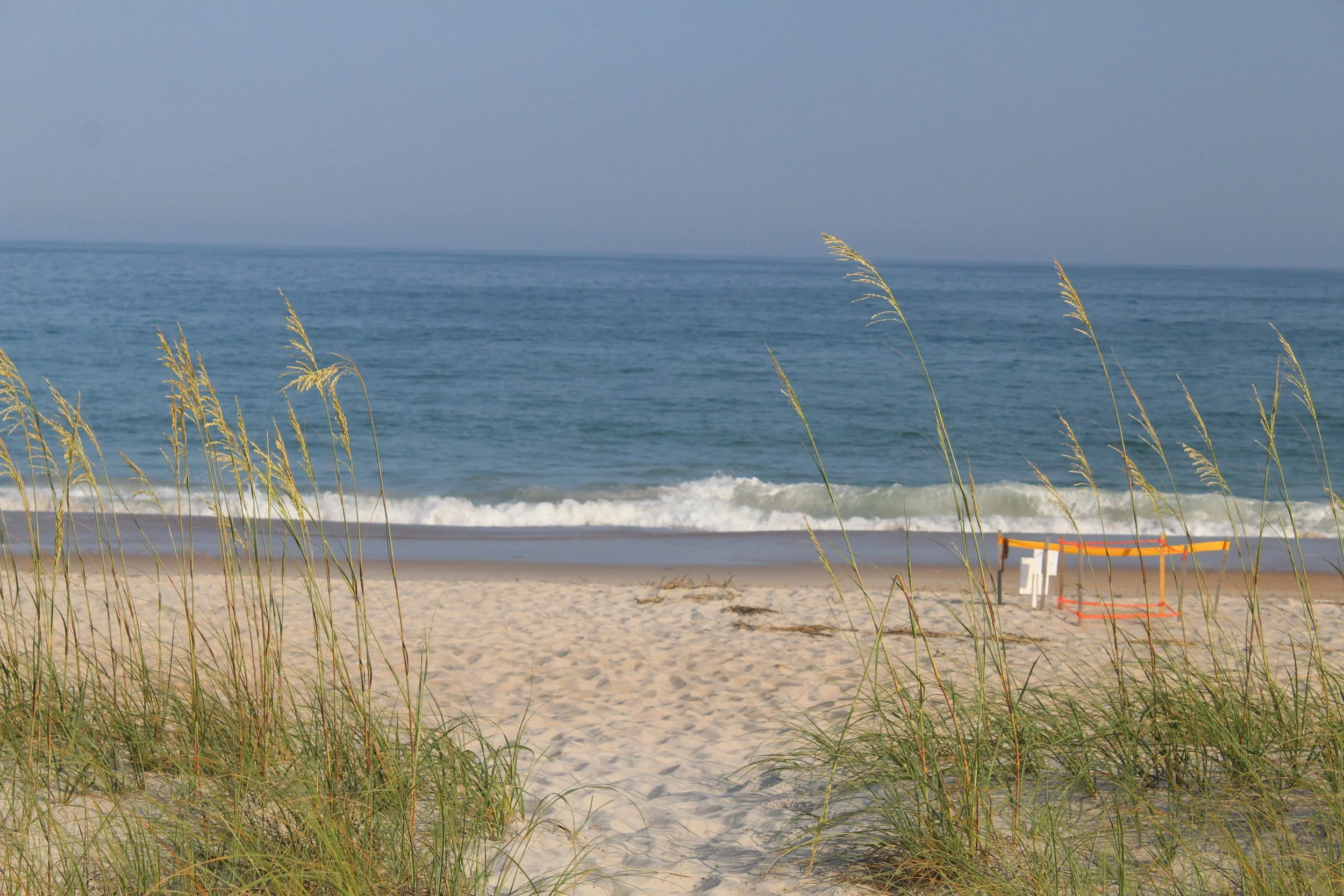 A sandy beach with tall grass in the foreground, ocean waves in the midground, and a blue sky in the background. A small orange and yellow lifeguard stand is visible on the right.