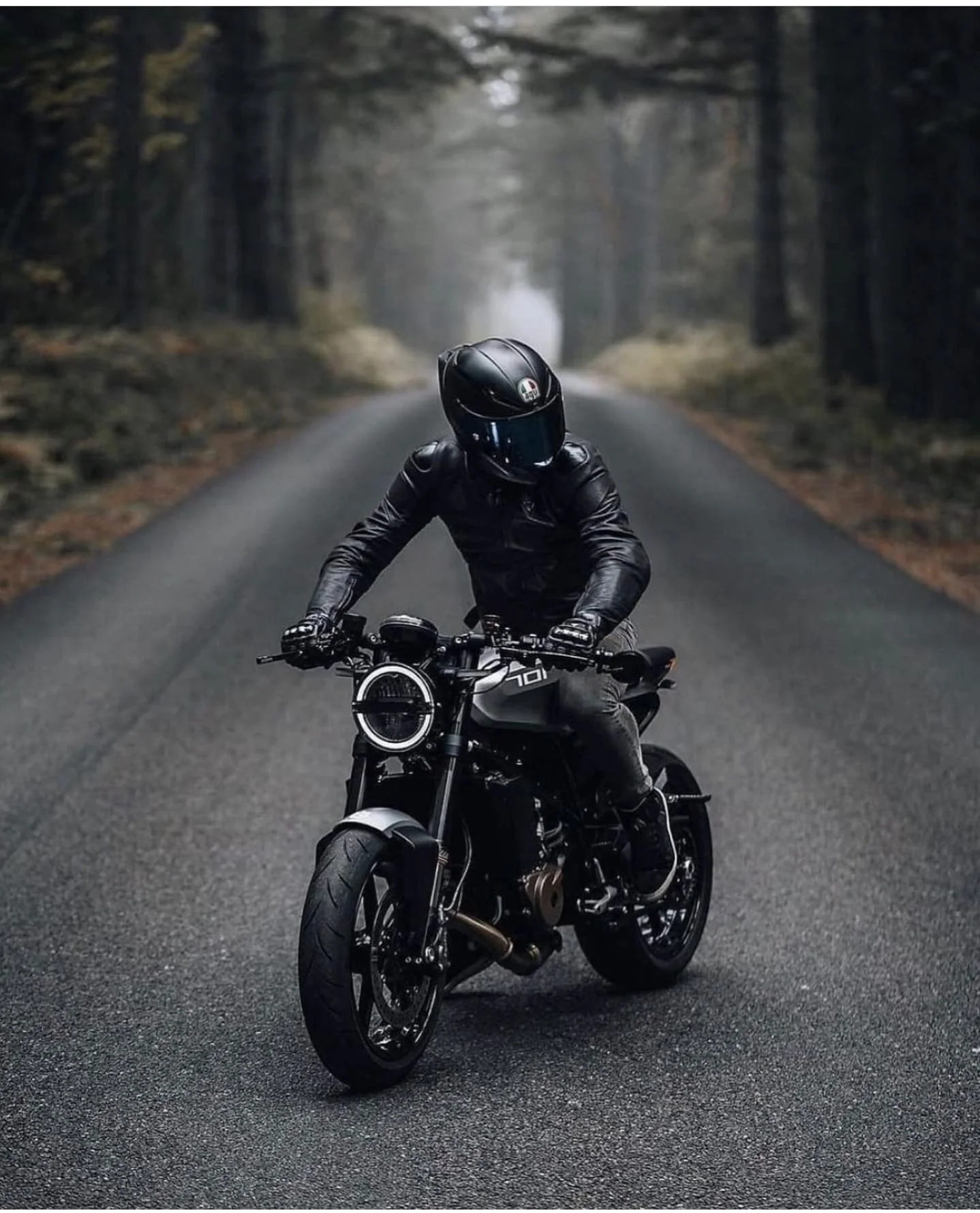 Bikes2.jpg