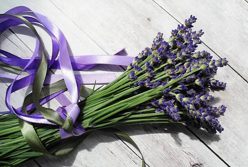 Lavender Bundle w ribbon.jpg
