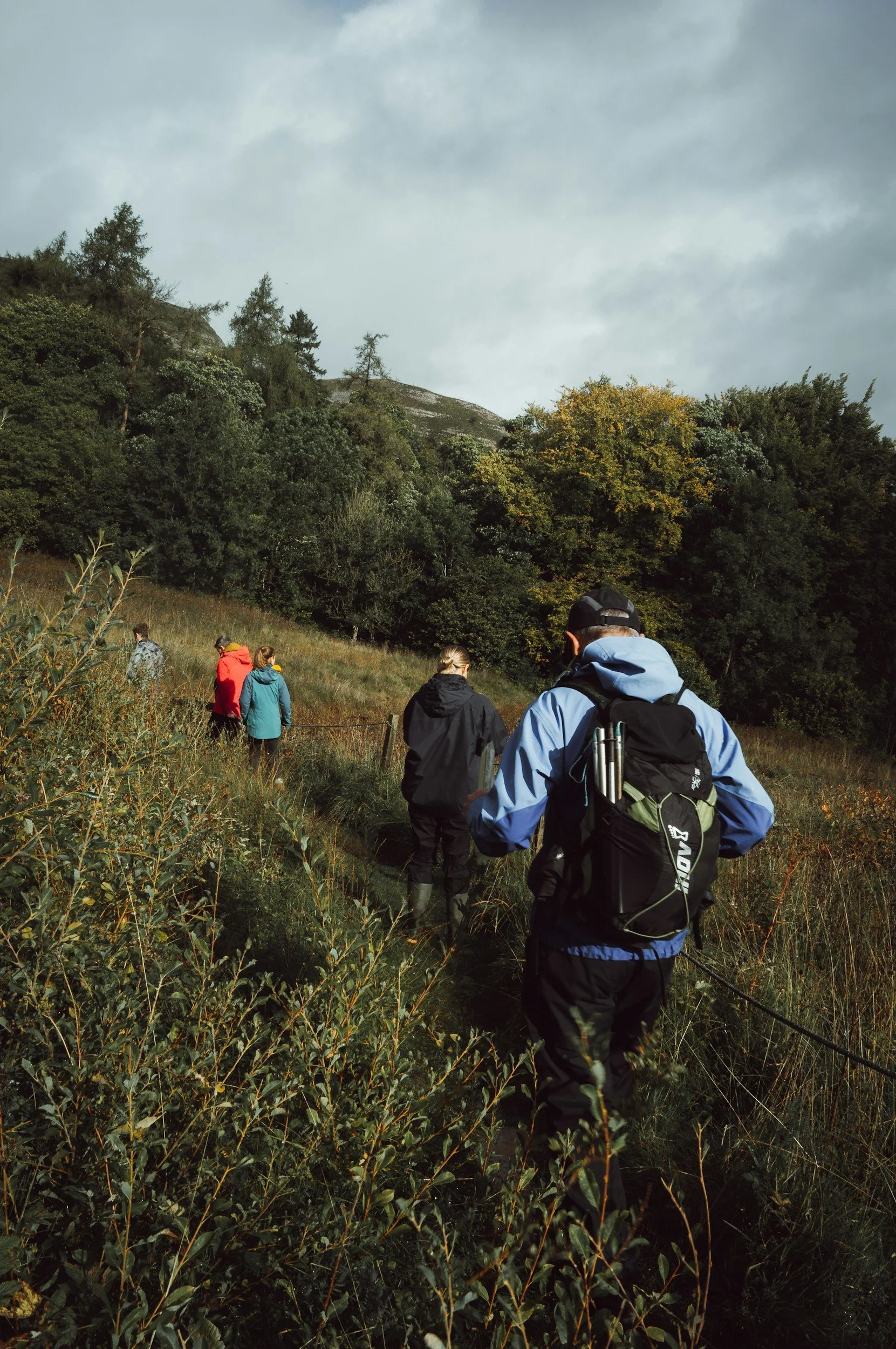 A group of people hiking on a trail through a grassy field with trees and a mountain in the background, under a cloudy sky.
