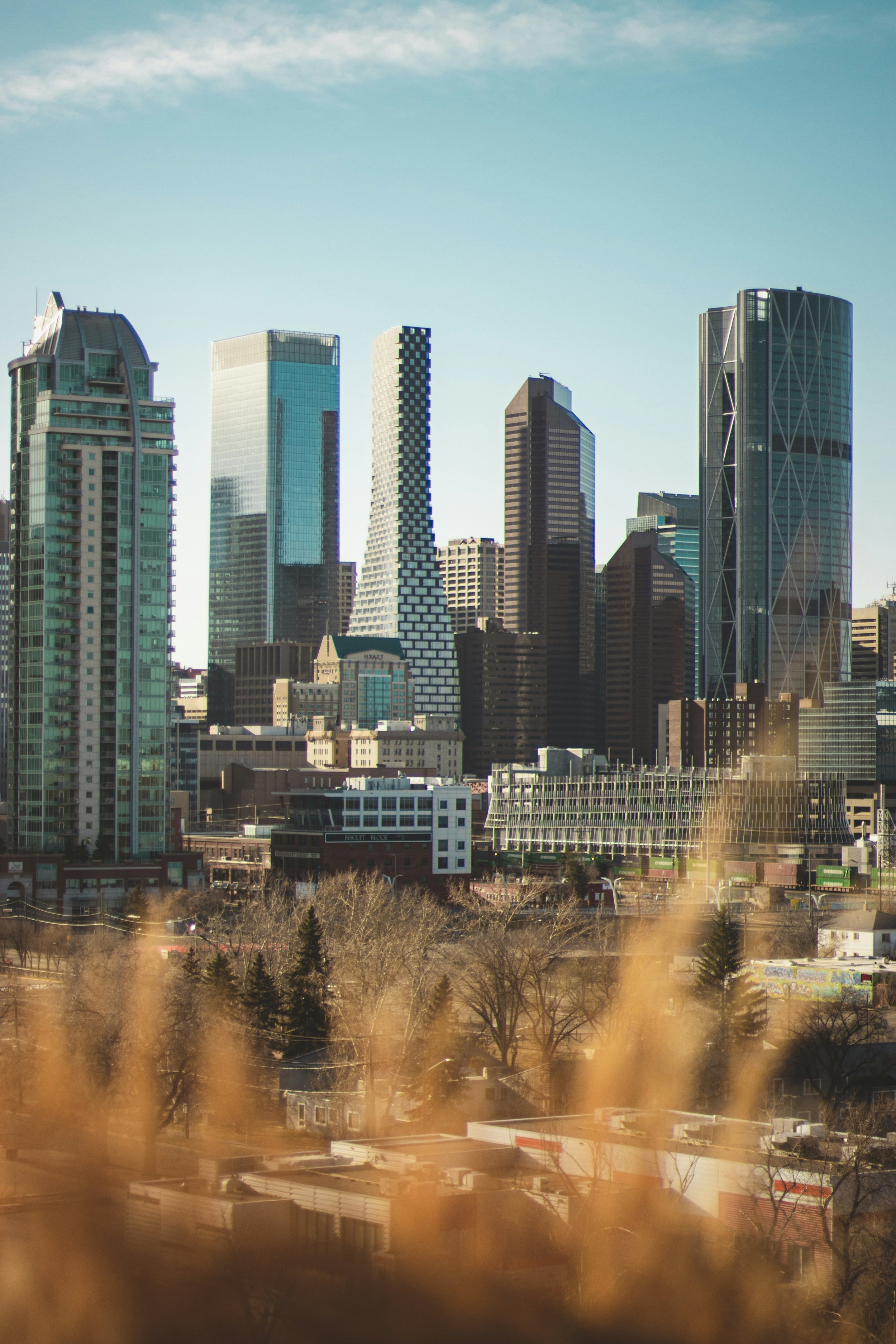 A city skyline with tall skyscrapers and modern office buildings under a clear blue sky, with some leafless trees and residential buildings in the foreground.